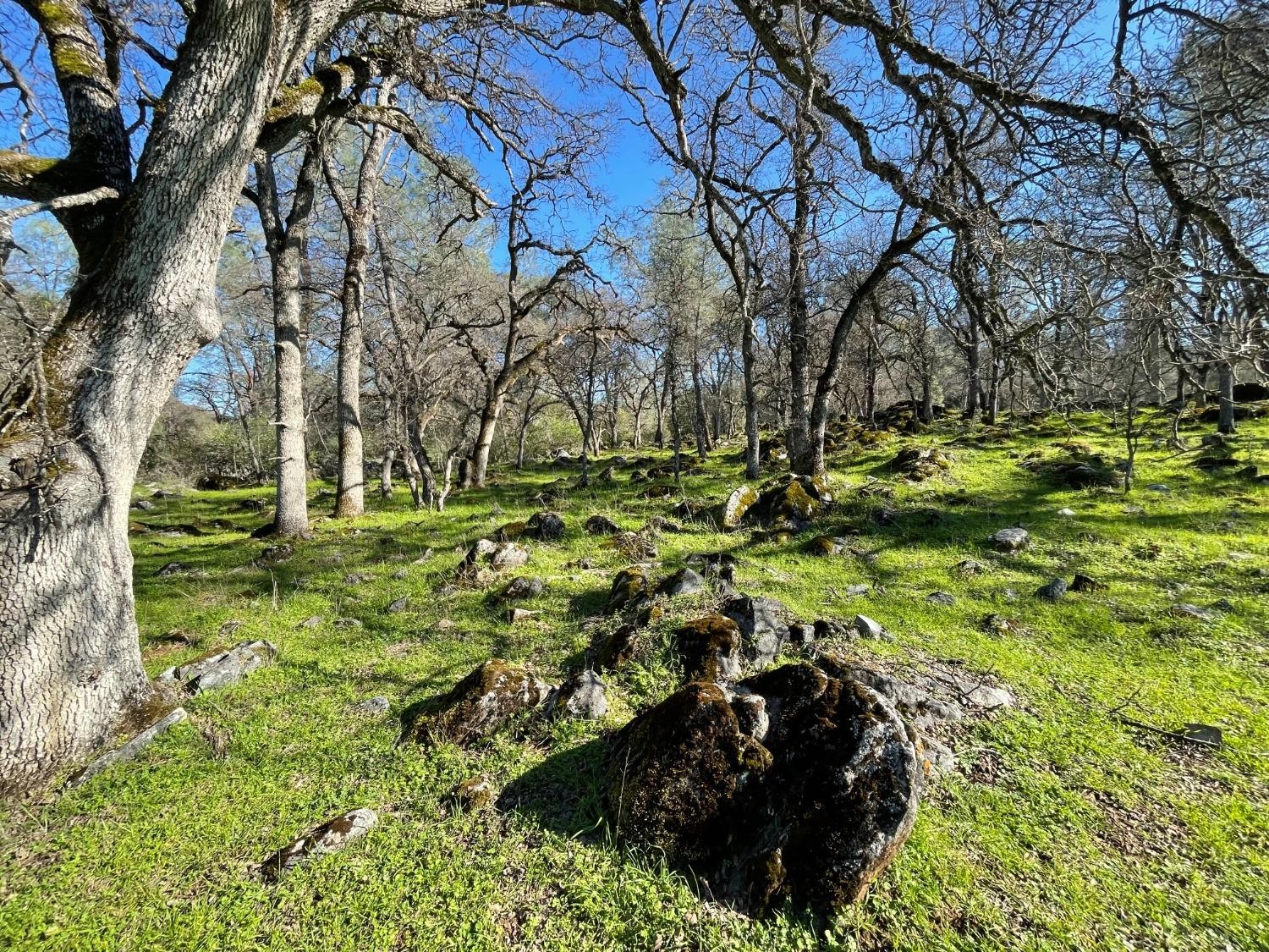 Vallecito, California, 95251, United States, ,Land,For Sale,1980651