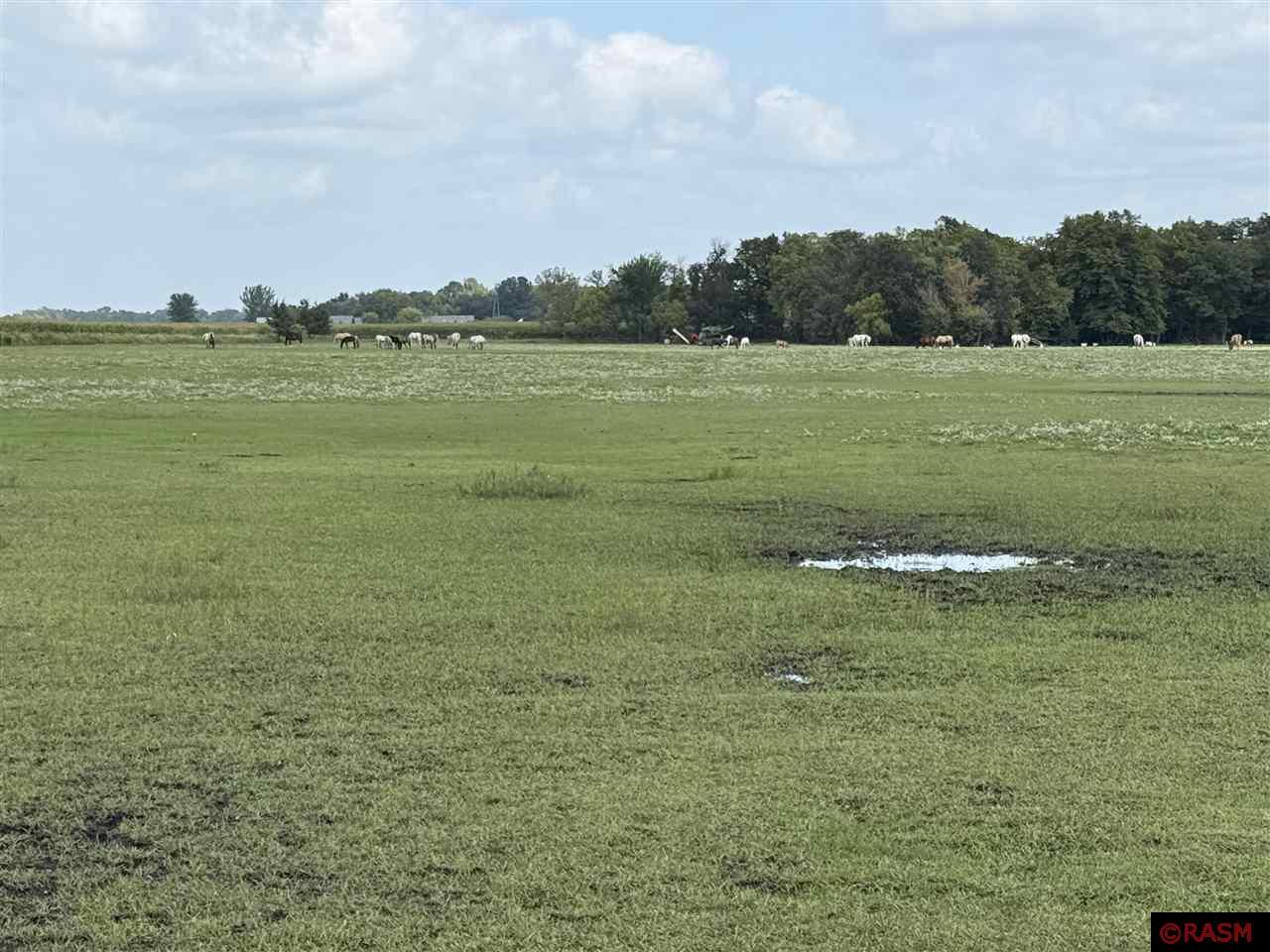 North Mankato, Minnesota, 56003, United States, ,Land,For Sale,1977593