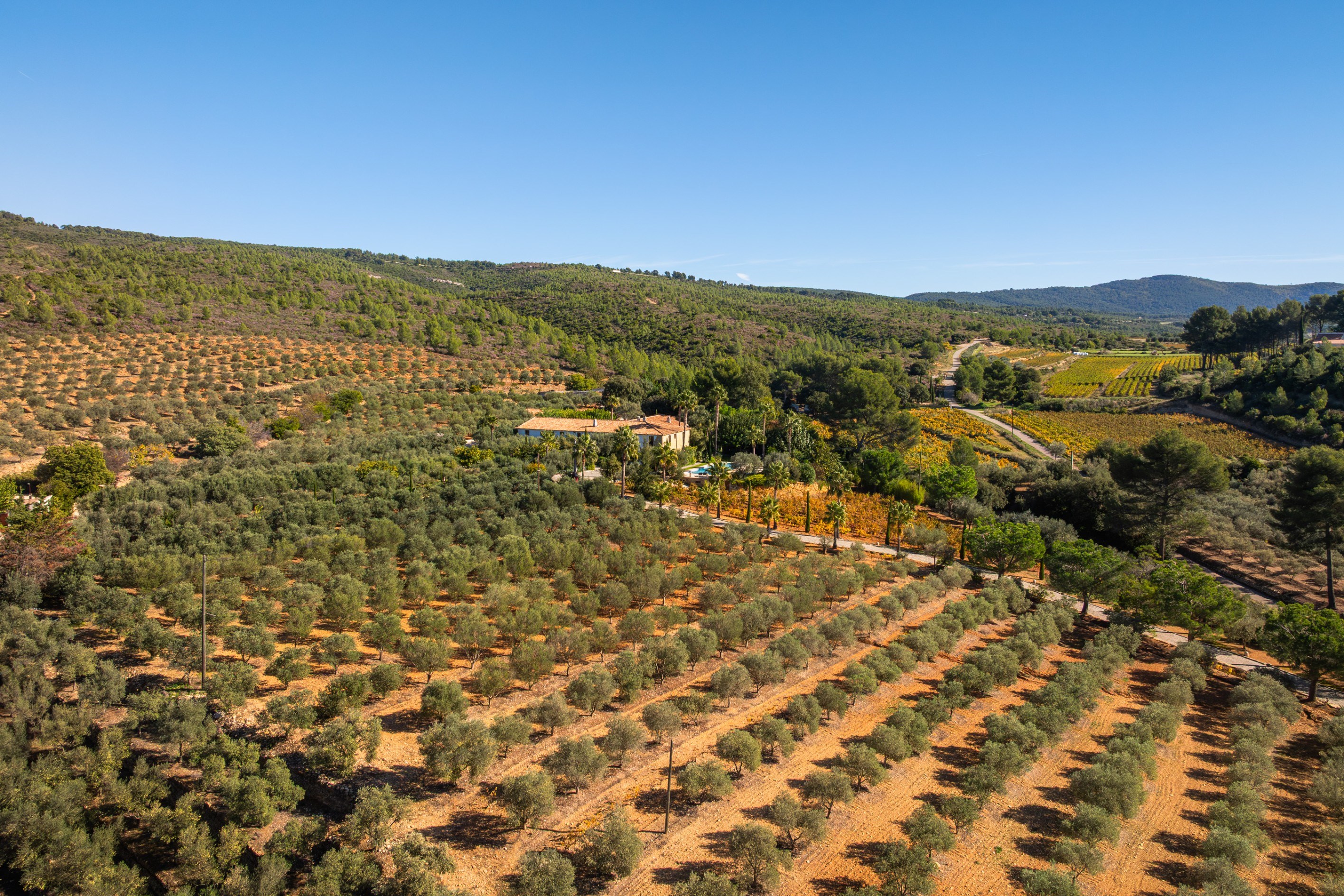  Le Castellet, Provence – Wine and Olive Estate - 物件實景