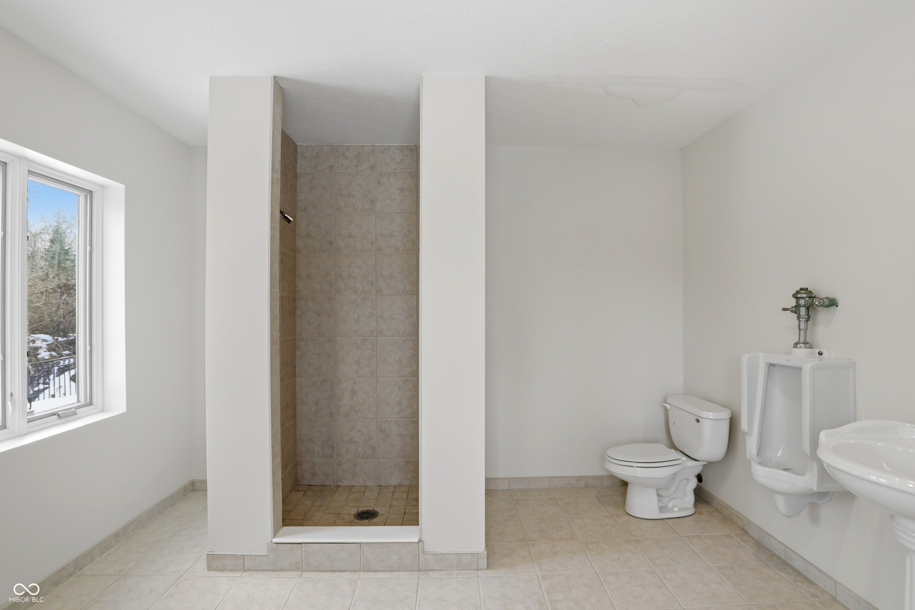 Indianapolis, Indiana, 46256, United States, 6 Bedrooms Bedrooms, ,10 BathroomsBathrooms,Residential,For Sale,2016946
