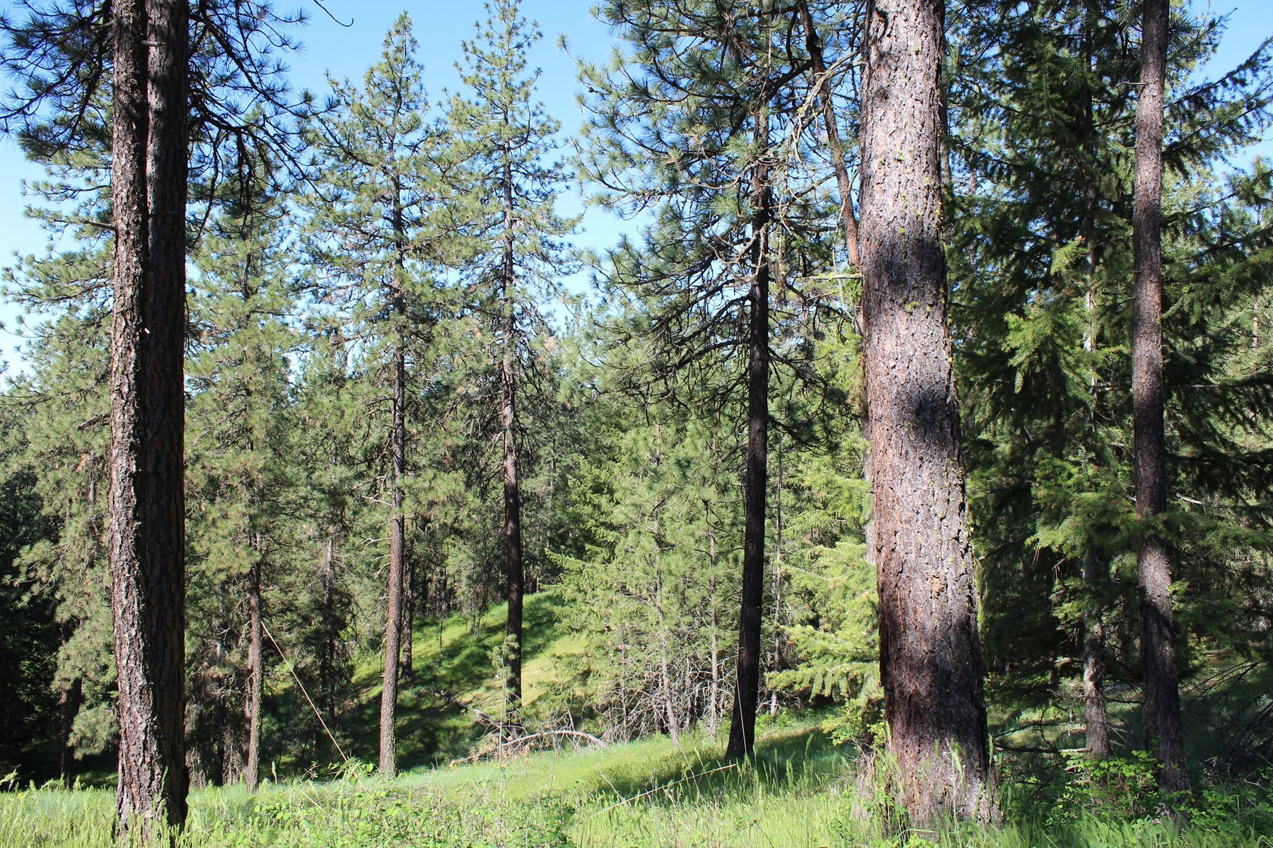  881 S Allen Rd and 2714 E Haven Dr Coeur d