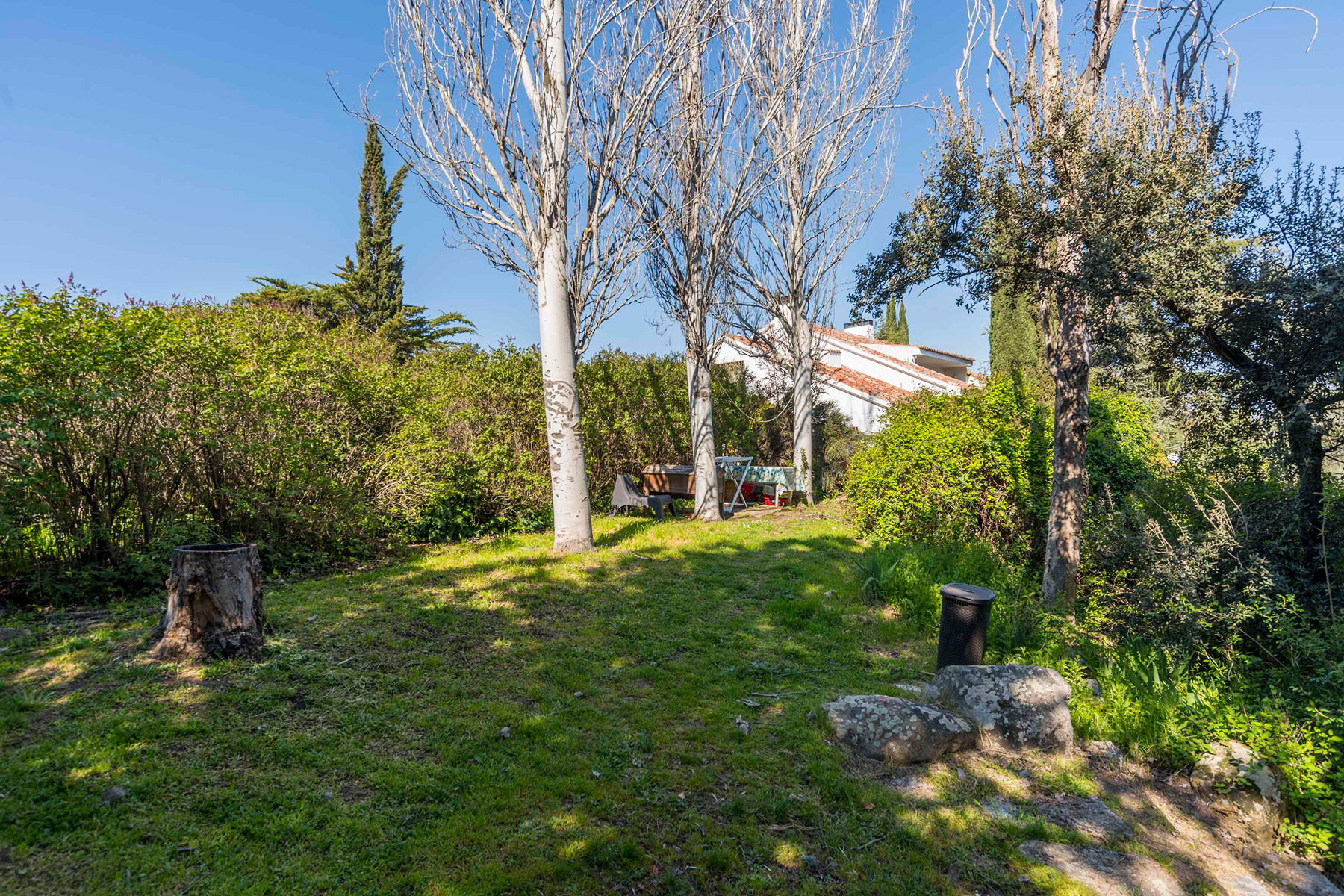  Wonderful hectare plot in La Moraleja - 物件實景