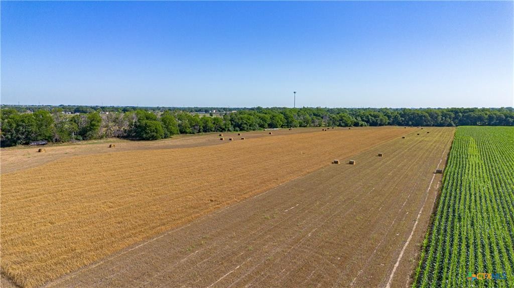 Mcqueeney, Texas, 78123, United States, ,Land,For Sale,1980081