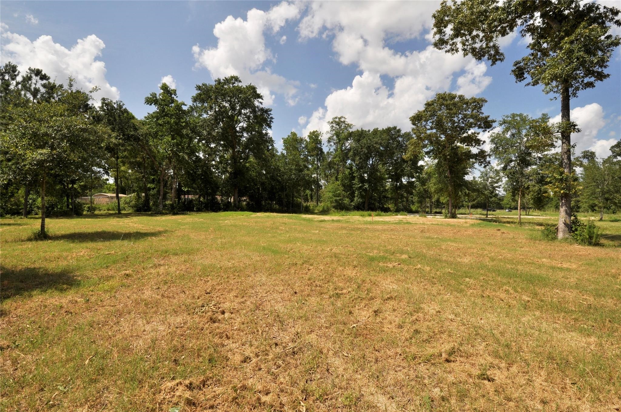Magnolia, Texas, 77355, United States, ,Land,For Sale,1896028