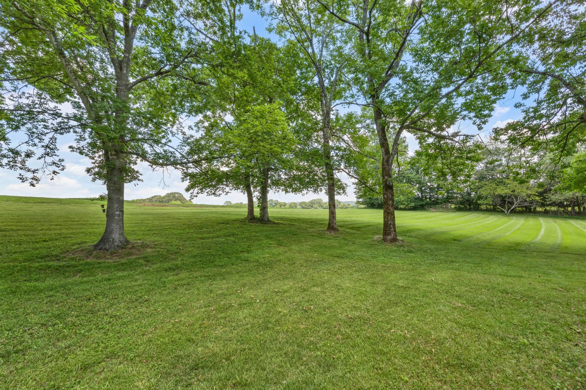 Clarksville, Tennessee, 37040, United States, 3 Bedrooms Bedrooms, ,4 BathroomsBathrooms,Residential,For Sale,1974190