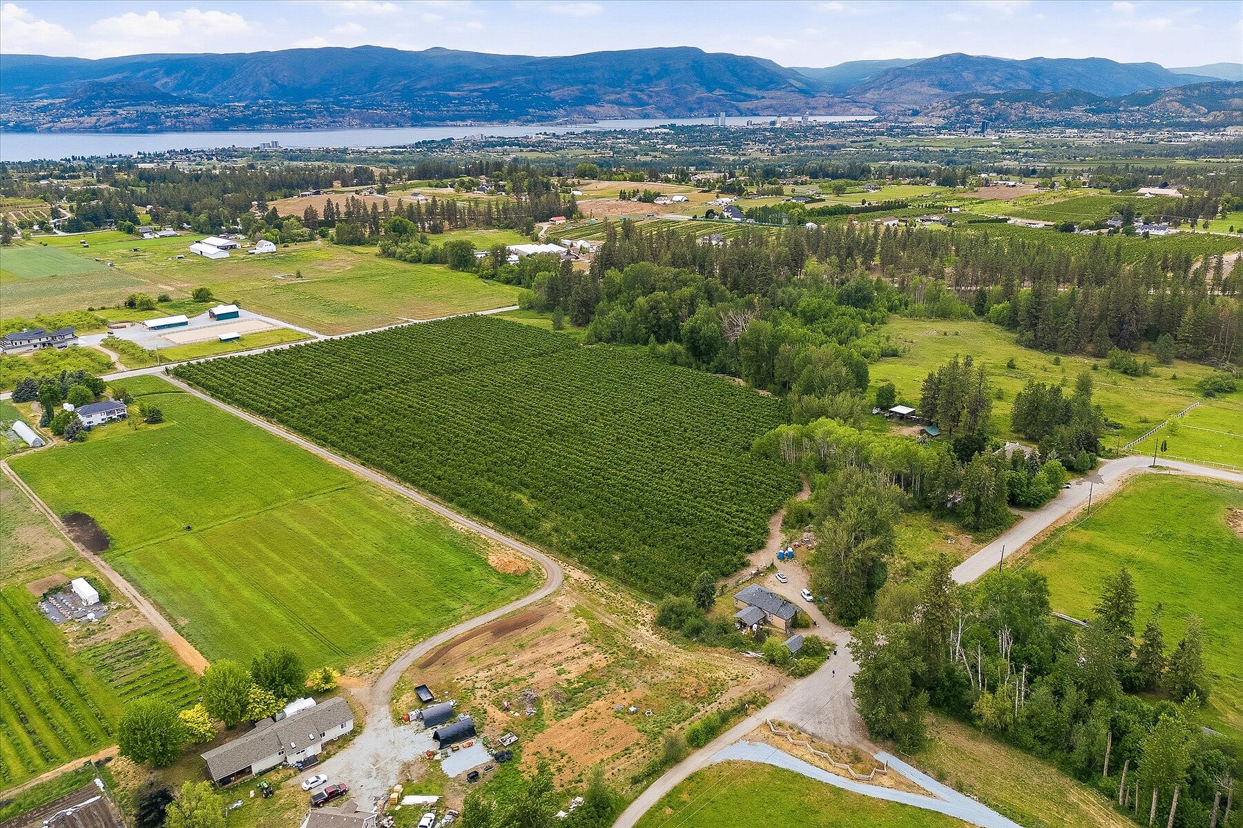  17.66 Acre Cherry Orchard - 物件實景