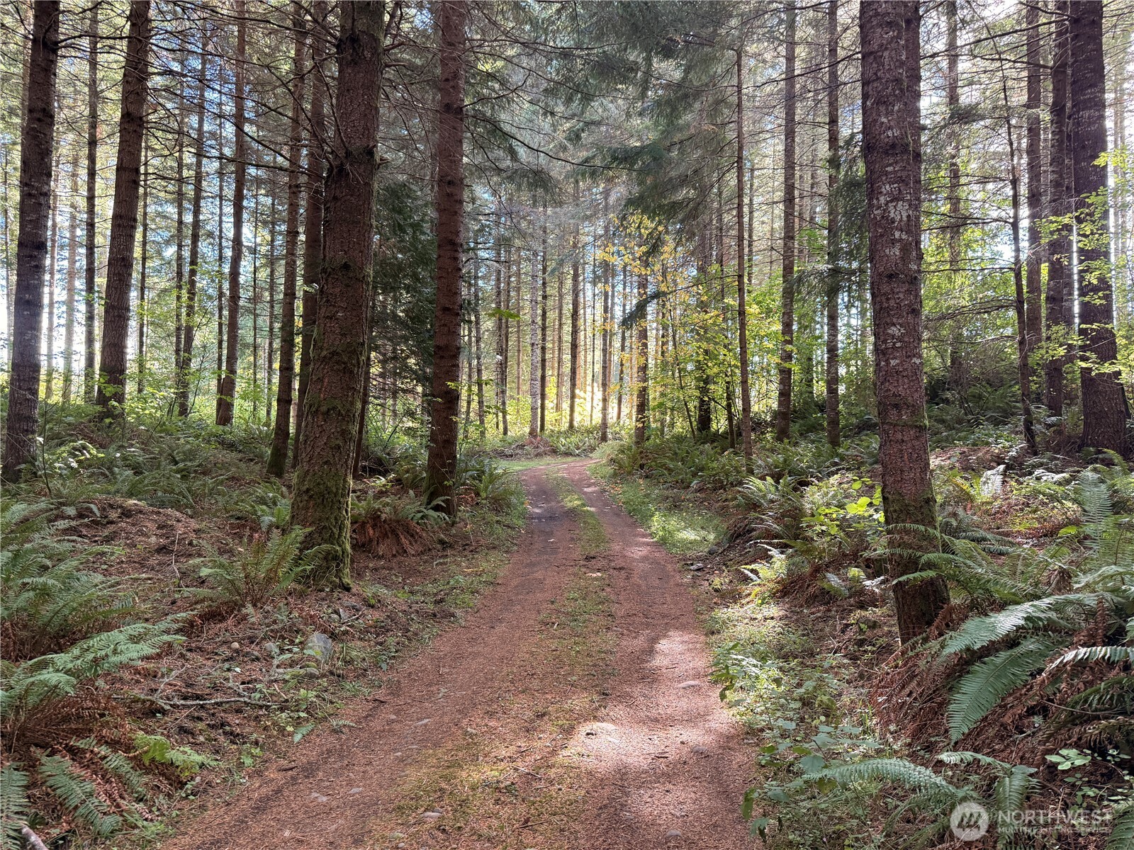 Rainier, Washington, 98576, United States, ,Land,For Sale,1998419