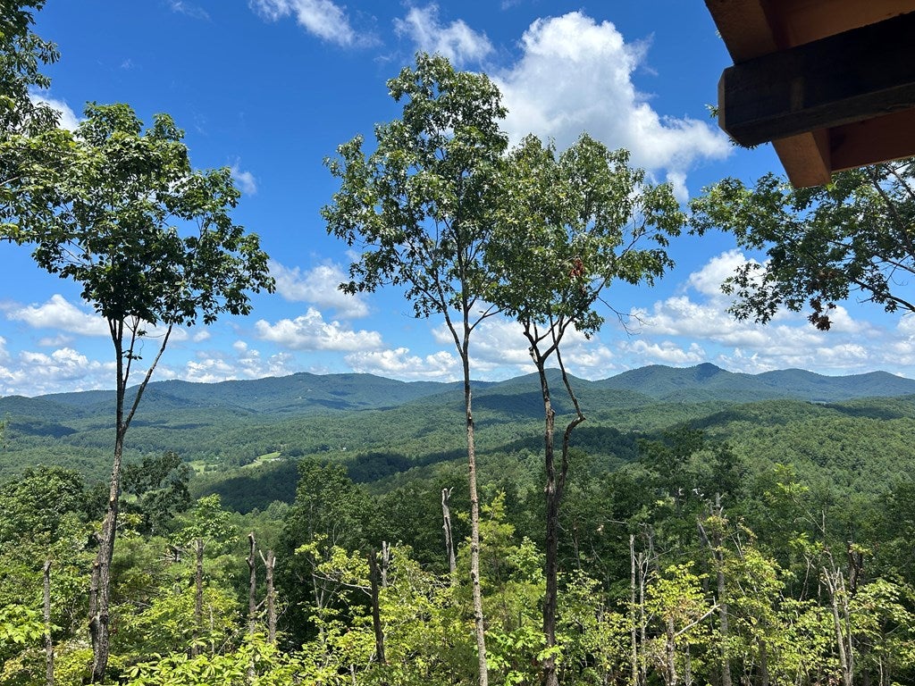 Mineral Bluff, Georgia, 30559, United States, 4 Bedrooms Bedrooms, ,4 BathroomsBathrooms,Residential,For Sale,1871299