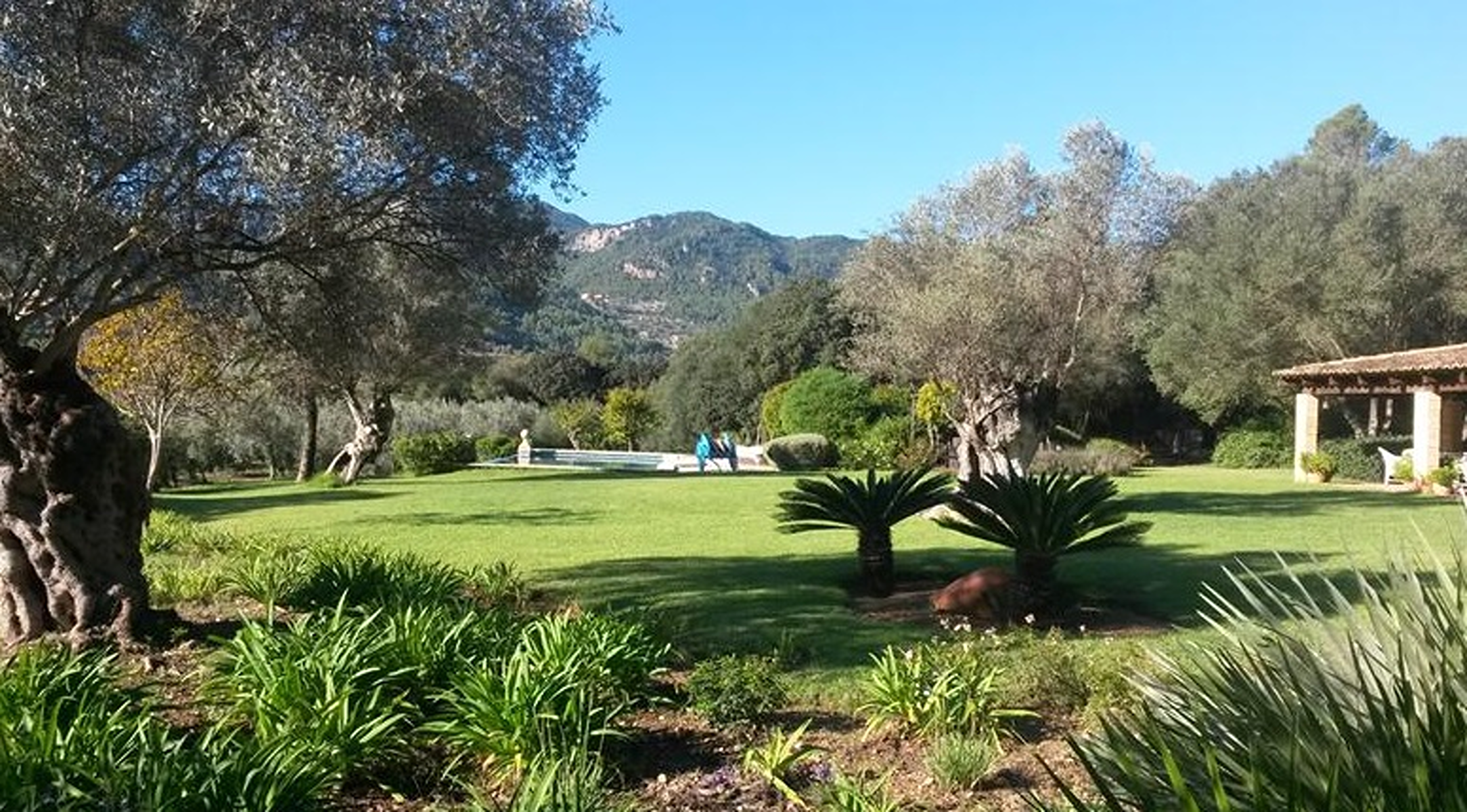  Country house with pool and mountain views in Esporlas - 物件實景