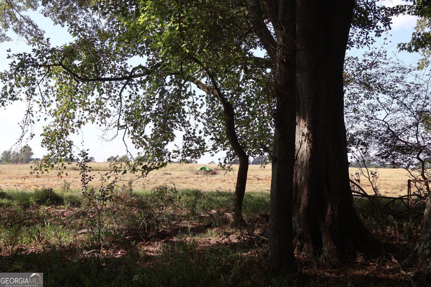 The Rock, Georgia, 30285, United States, ,Land,For Sale,1963371