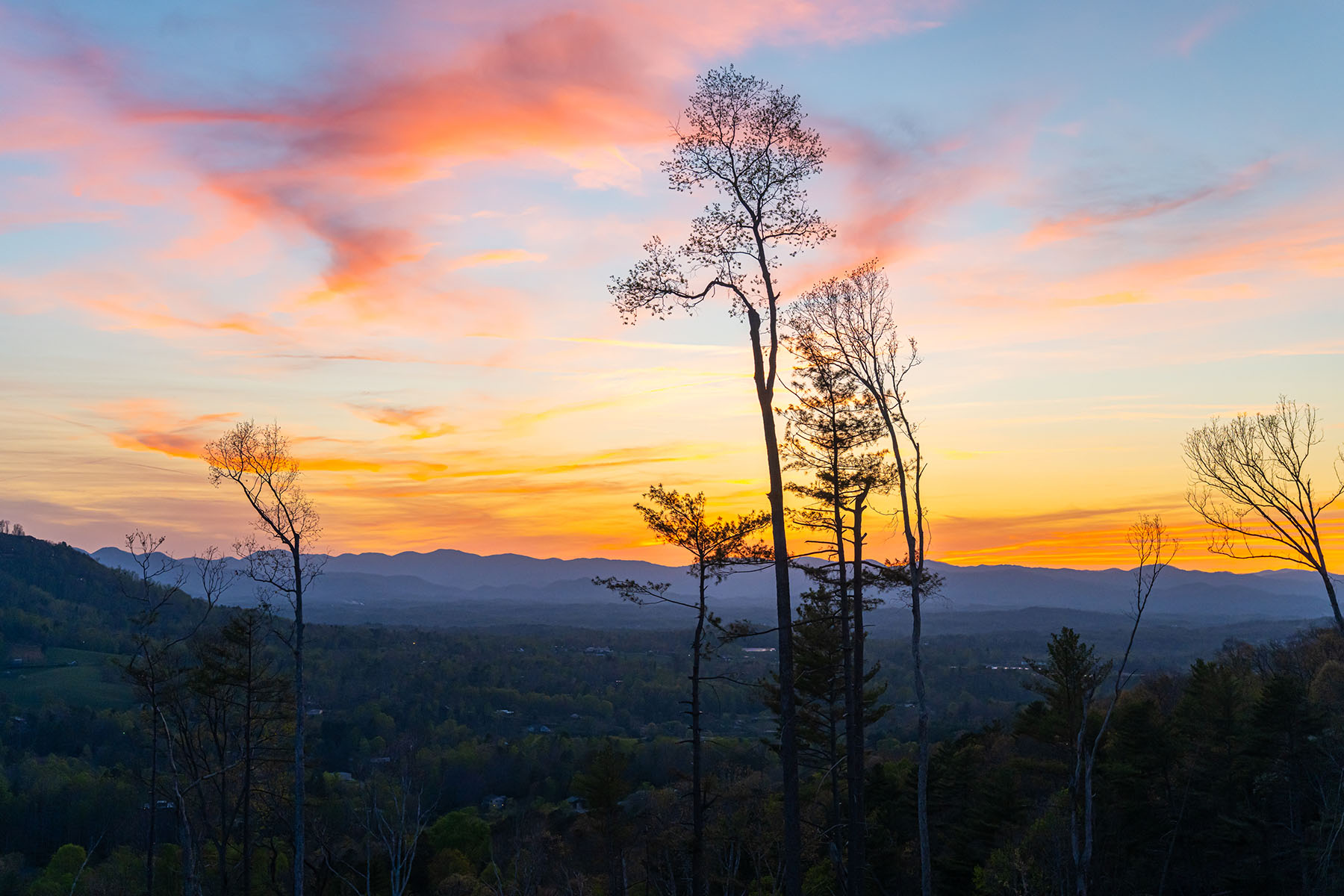  WEAVERVILLE - 物件實景