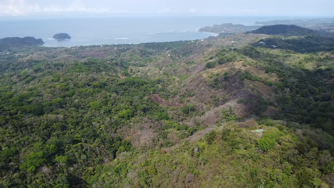 Samara, Guanacaste, CR, ,Land,For Sale,1838458