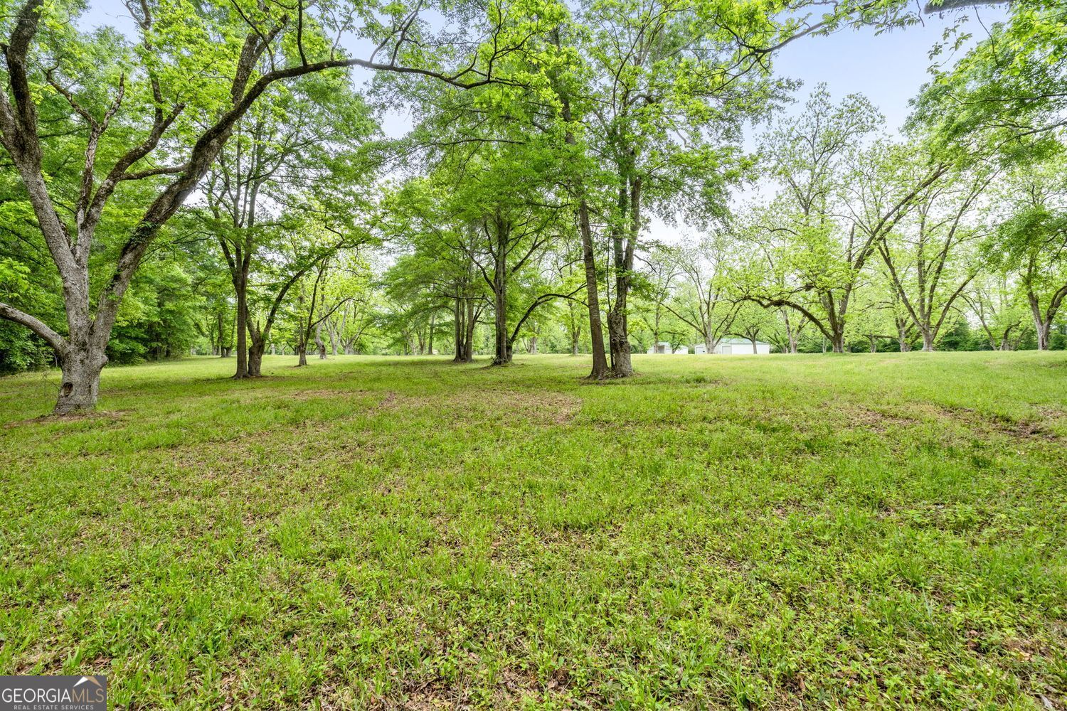 Milner, Georgia, 30257, United States, ,Land,For Sale,1859026