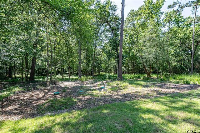 Holly Lake Ranch, Texas, 75765, United States, 4 Bedrooms Bedrooms, ,2 BathroomsBathrooms,Residential,For Sale,1978220