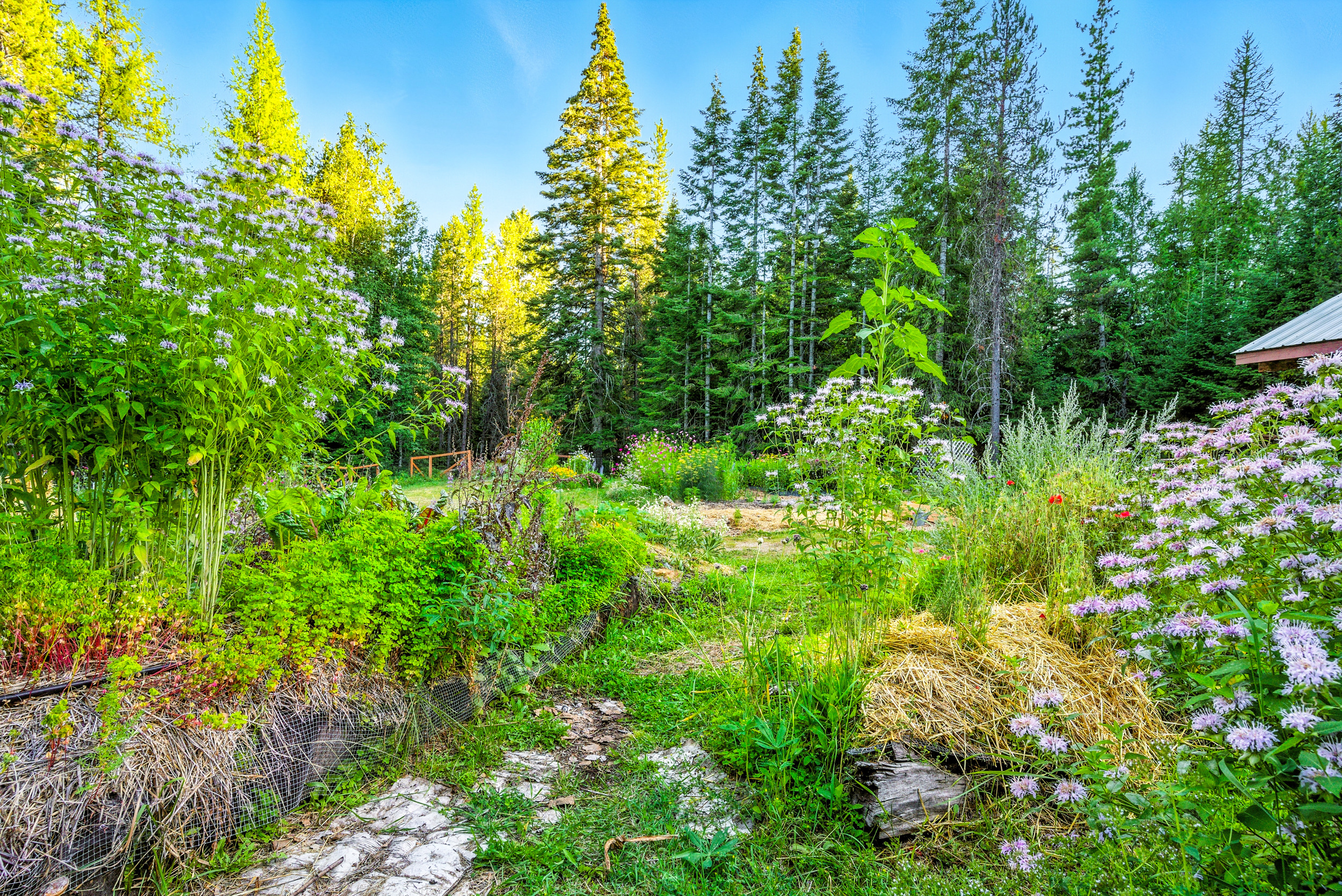 Sandpoint, Idaho, 83864, United States, 2 Bedrooms Bedrooms, ,2 BathroomsBathrooms,Residential,For Sale,2006058