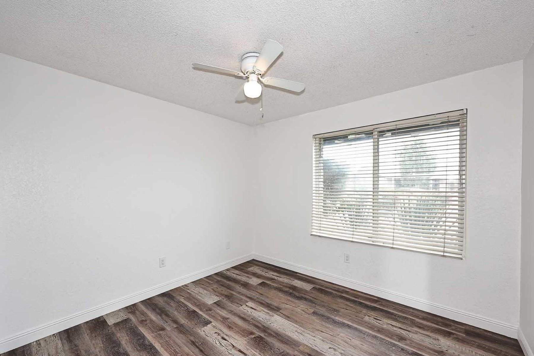  17640 N 1st Place¦Phoenix, AZ - 物件實景