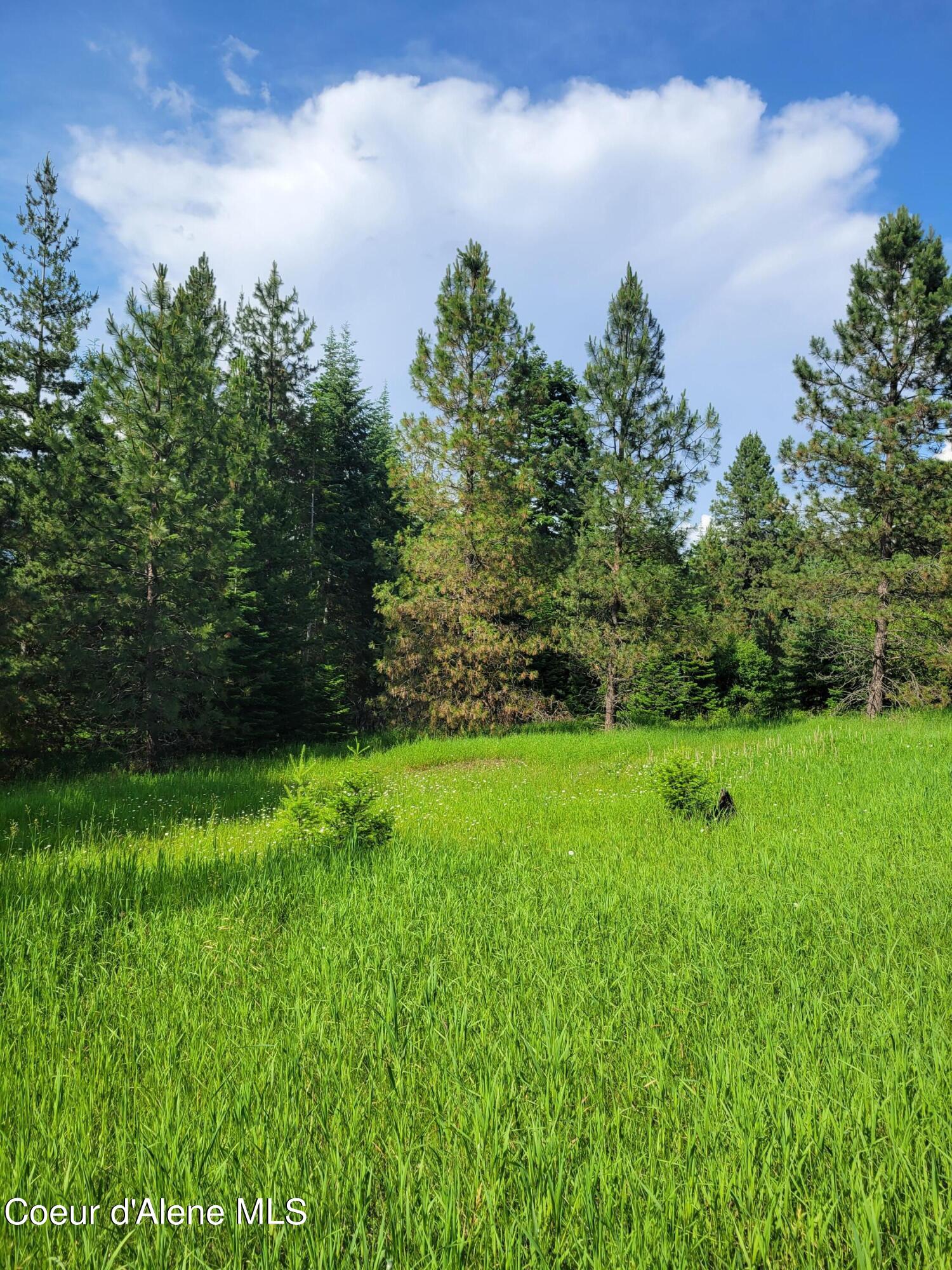 Coeur d'Alene, Idaho, 83814, United States, ,Residential,For Sale,1937421