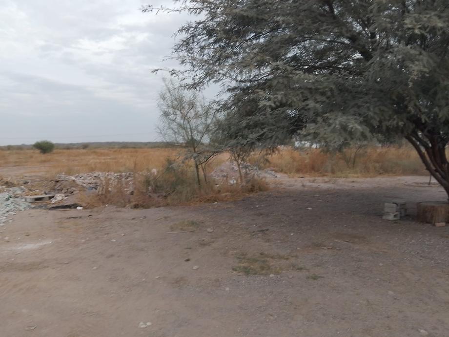 Torreón, Coahuila de Zaragoza, 27434, Mexico, 1 Bedroom Bedrooms, ,Residential,For Sale,2002192