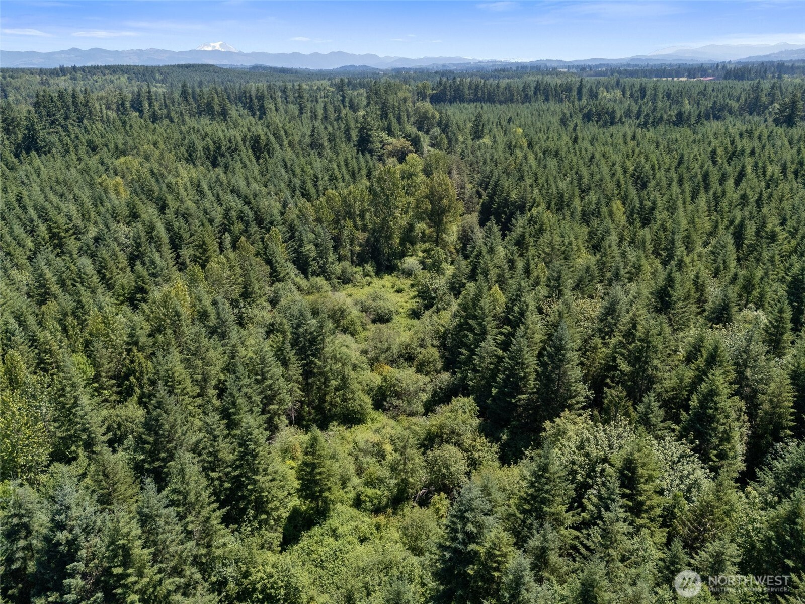 Ethel, Washington, 98542, United States, ,Residential,For Sale,1936927