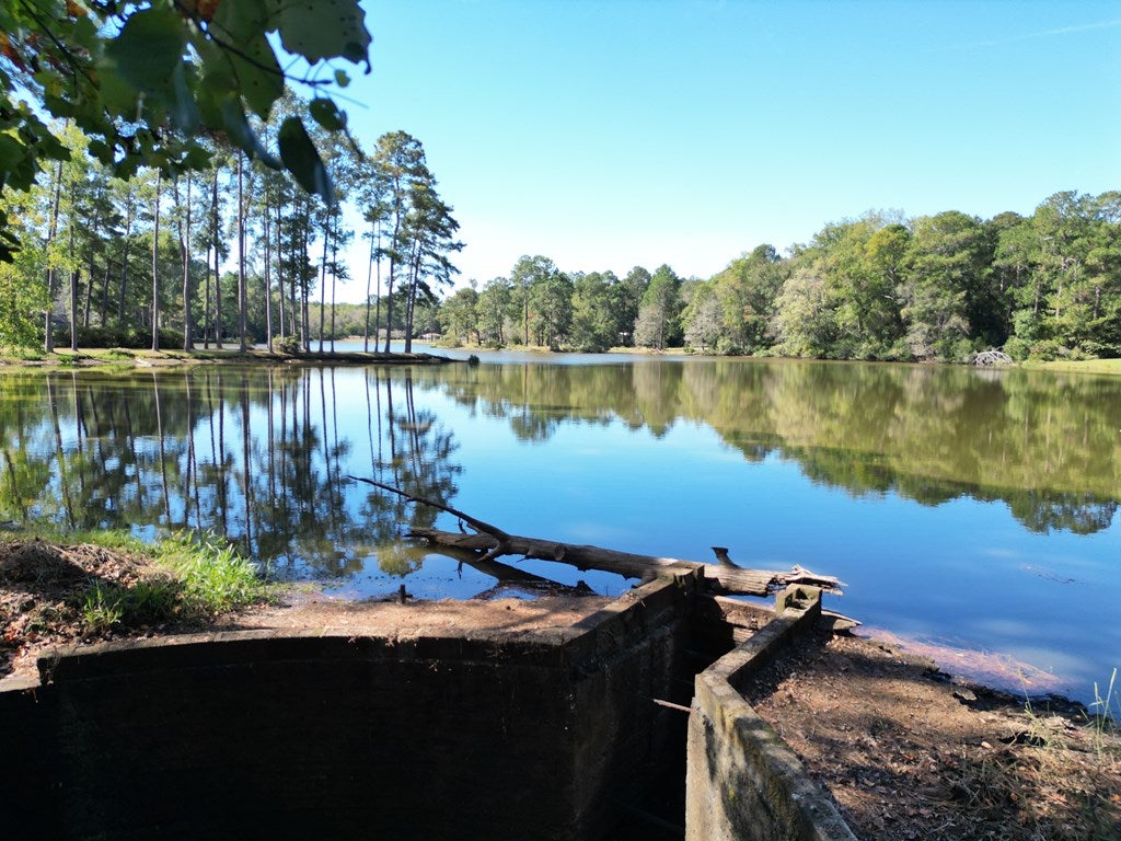 Chula, Georgia, 31733, United States, 4 Bedrooms Bedrooms, ,4 BathroomsBathrooms,Residential,For Sale,1979714