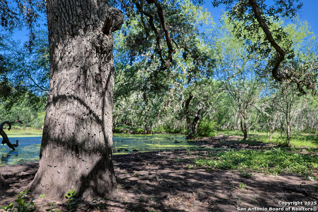 Beeville, Texas, 78102, United States, ,Land,For Sale,1942121