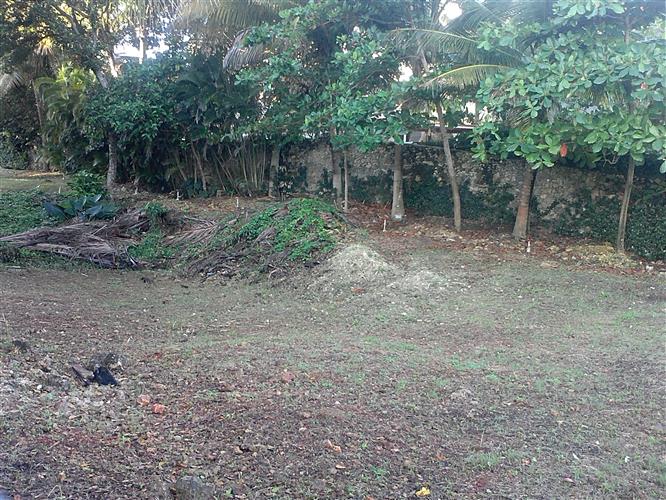 Sosua, DO, ,Land,For Sale,1164552