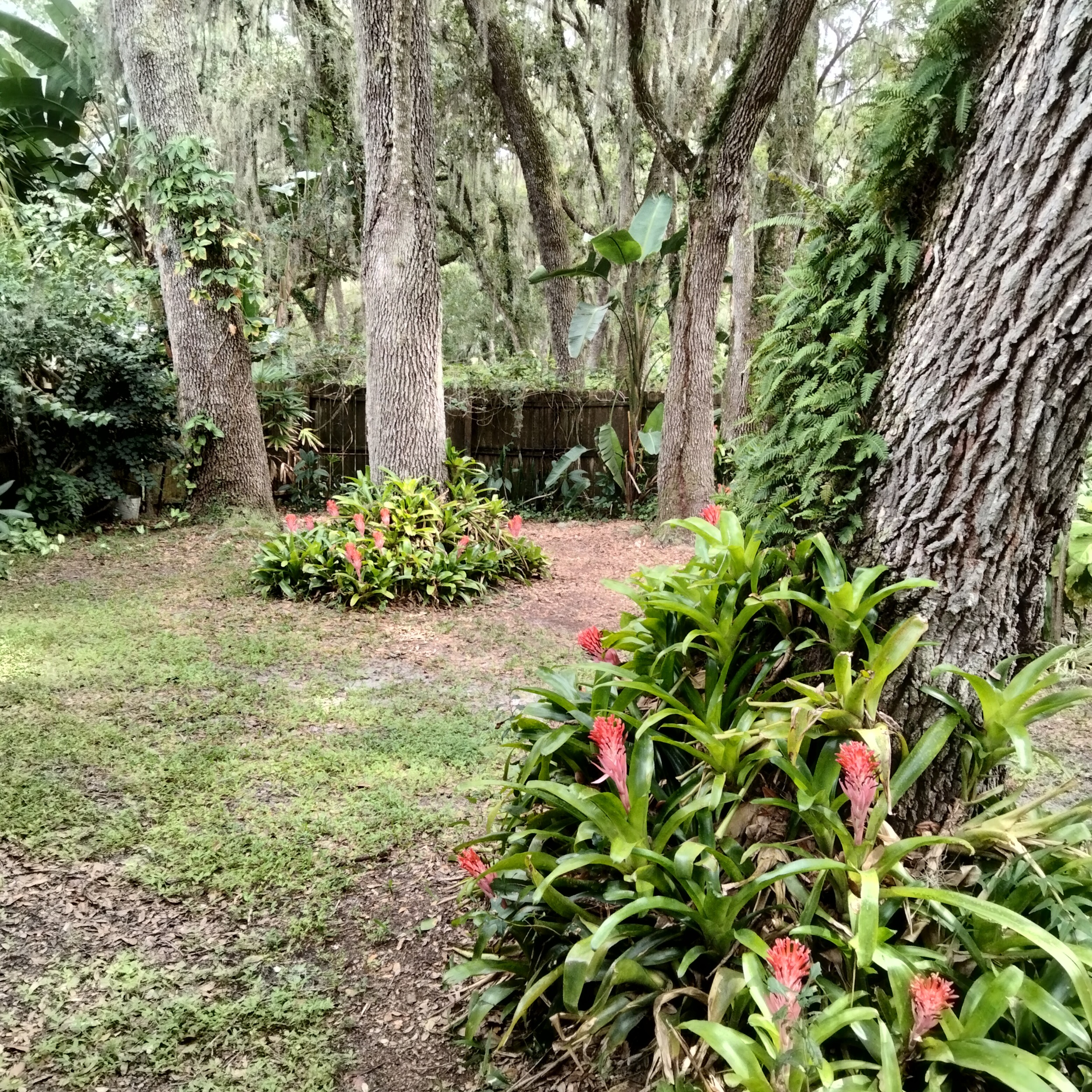 Dover, Florida, 33527, United States, 4 Bedrooms Bedrooms, ,5 BathroomsBathrooms,Residential,For Sale,1982363