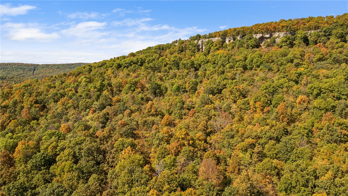 Harrison, Arkansas, 72601, United States, ,Land,For Sale,1903460