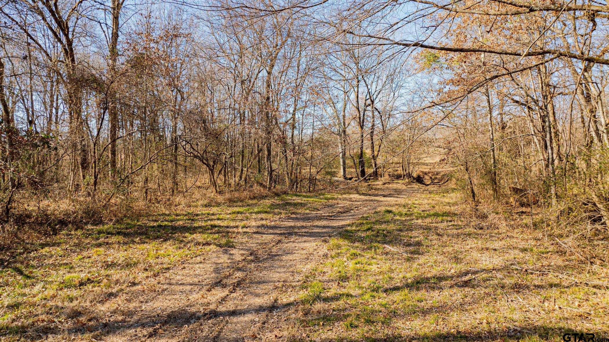 Dekalb, Texas, 75559, United States, ,Residential,For Sale,1878363