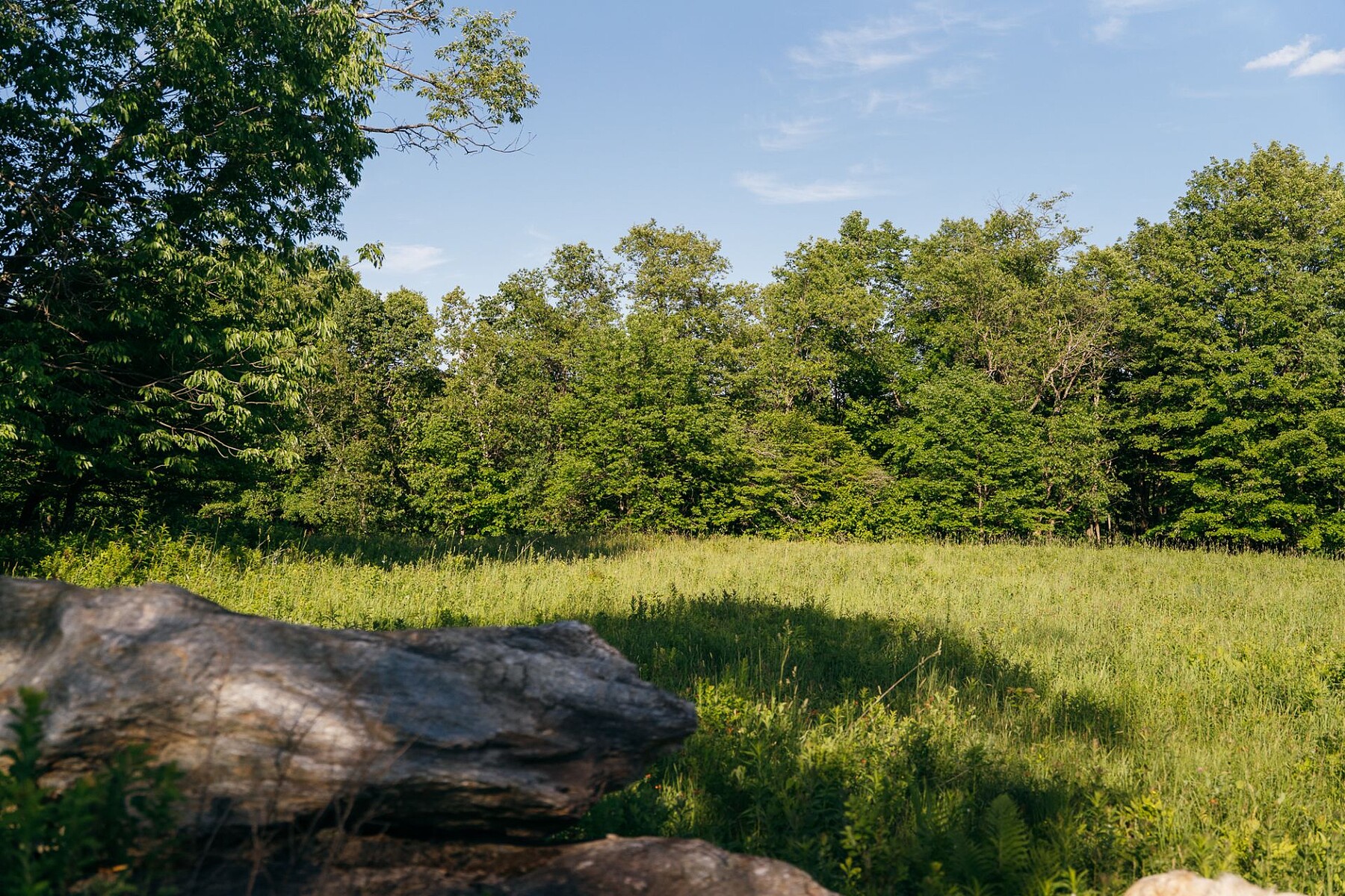  Sutton, Eastern Townships - 物件實景
