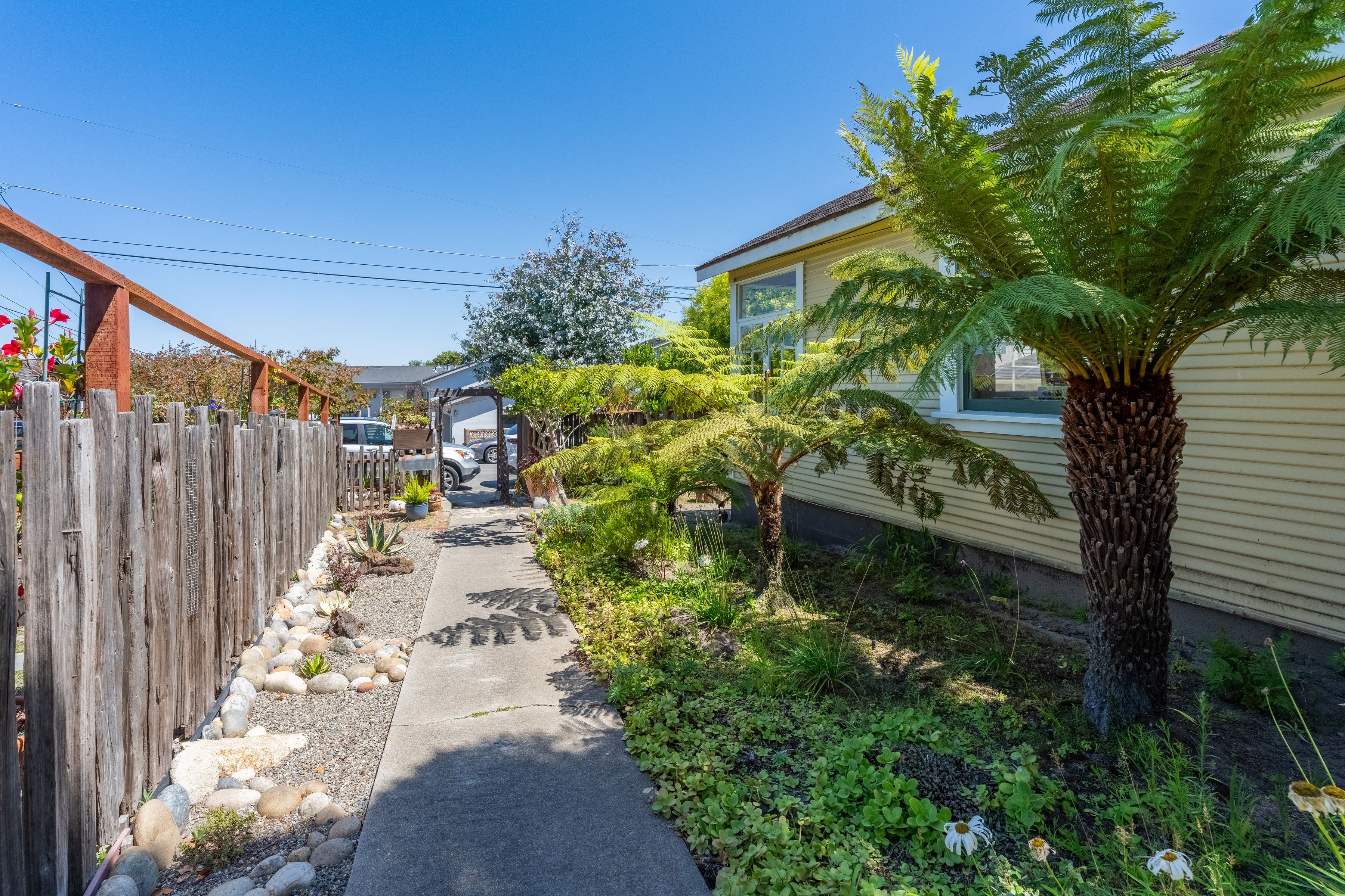  247 Belden Street - 物件實景