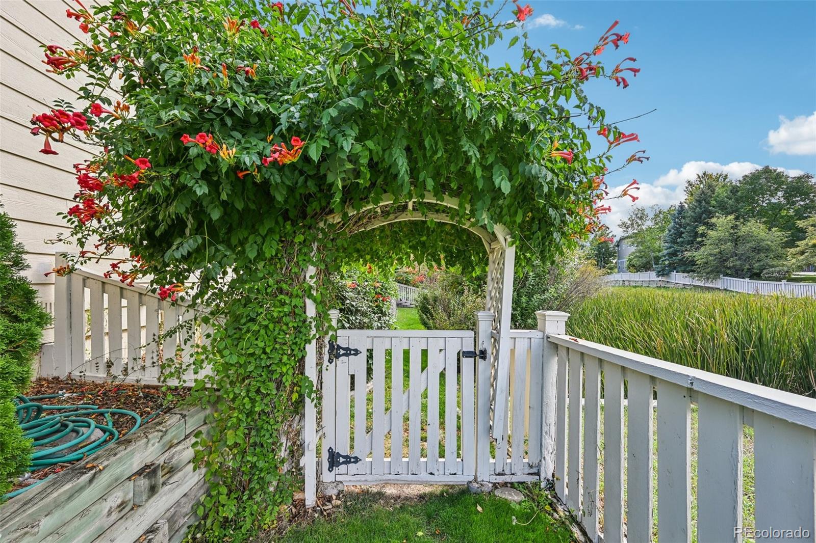 Arvada, Colorado, 80004, United States, 4 Bedrooms Bedrooms, ,2 BathroomsBathrooms,Residential,For Sale,1984422