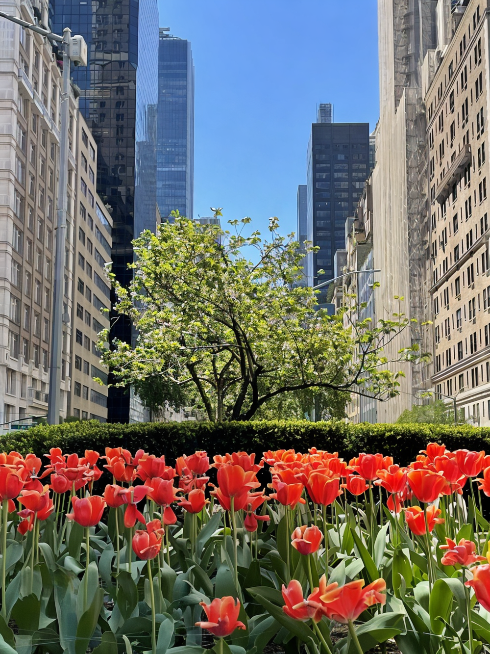 New York City, New York, 10065, United States, 1 Bedroom Bedrooms, ,1 BathroomBathrooms,Residential,For Sale,1793589