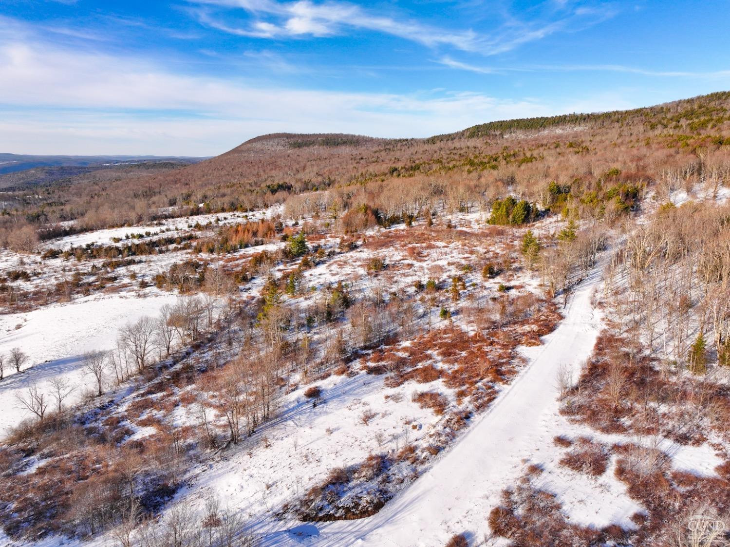 Lexington, New York, 12468, United States, ,Residential,For Sale,1707951