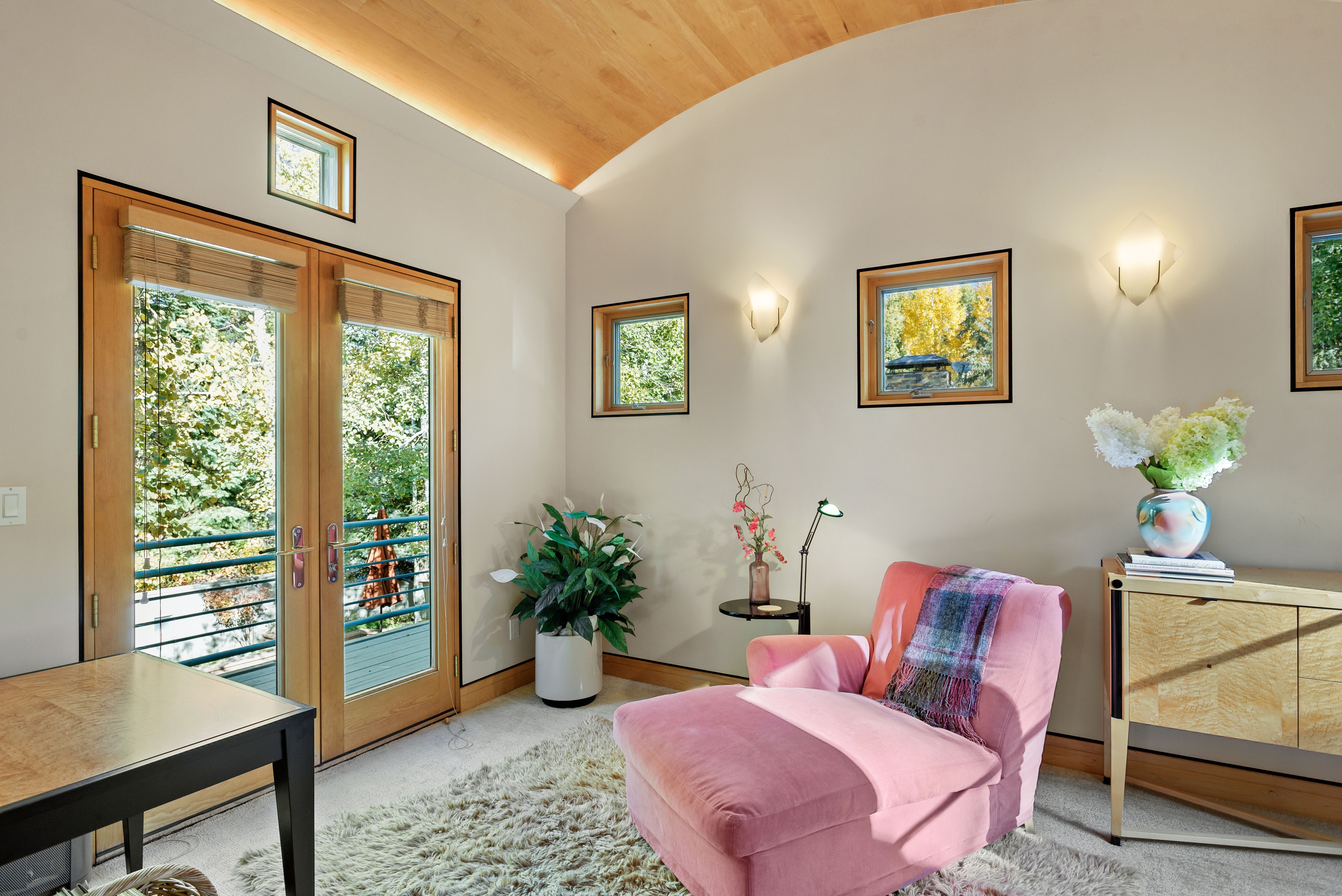  530 West Francis Street, Aspen, CO 81611 - 物件實景