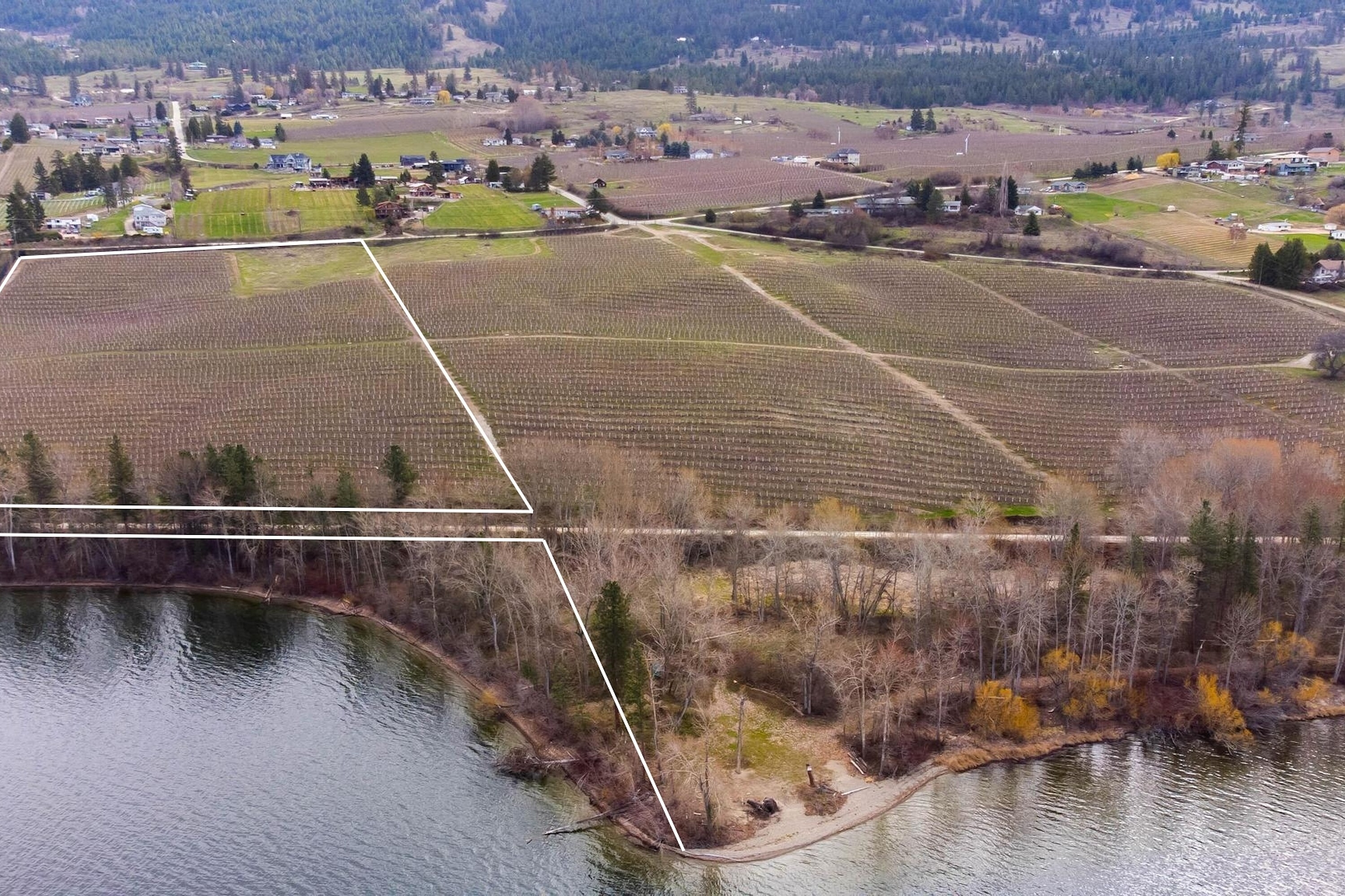  Lakeshore Oyama Lot - 物件實景