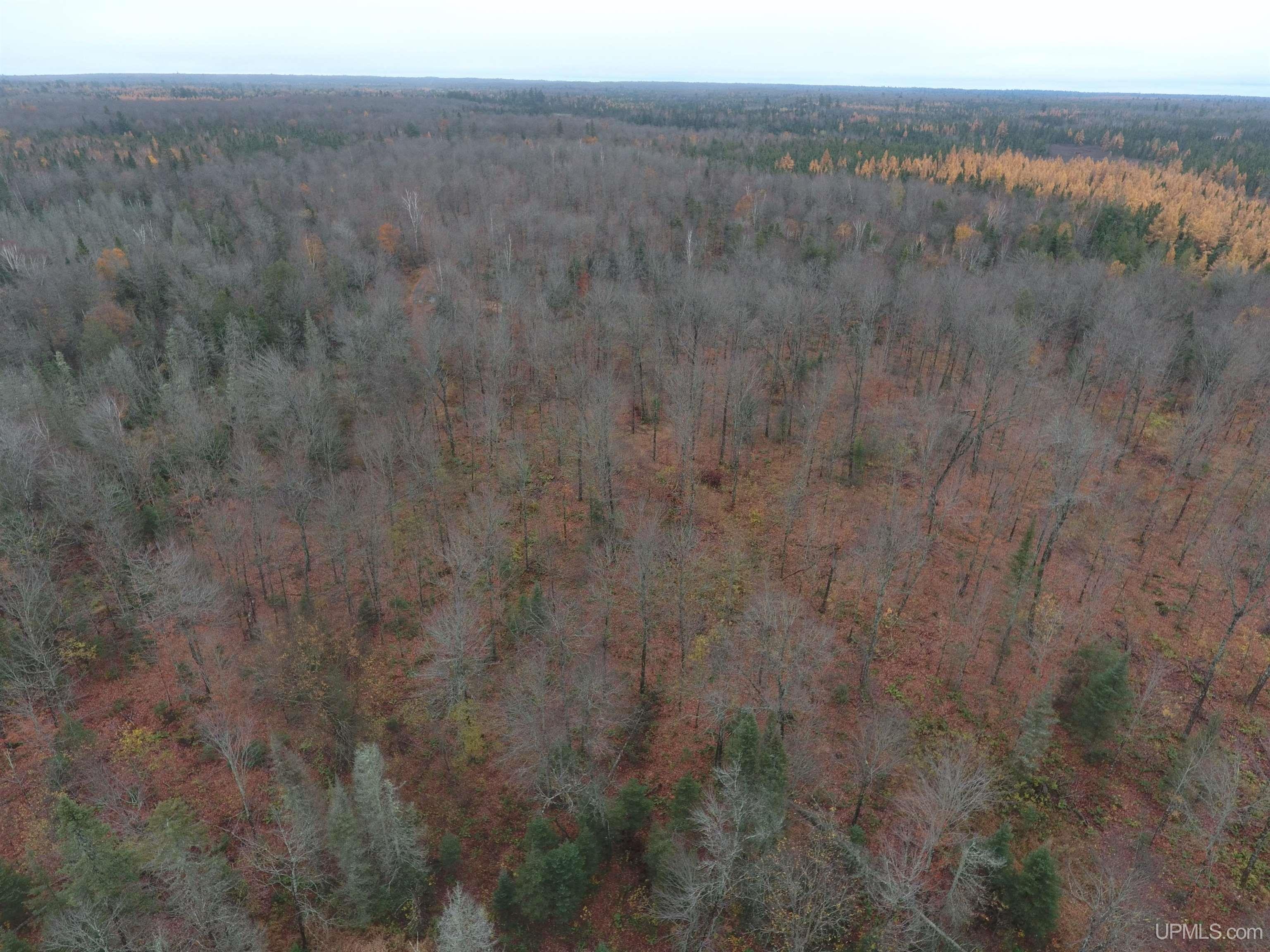 Michigamme, Michigan, 49861, United States, 4 Bedrooms Bedrooms, ,Residential,For Sale,1879057