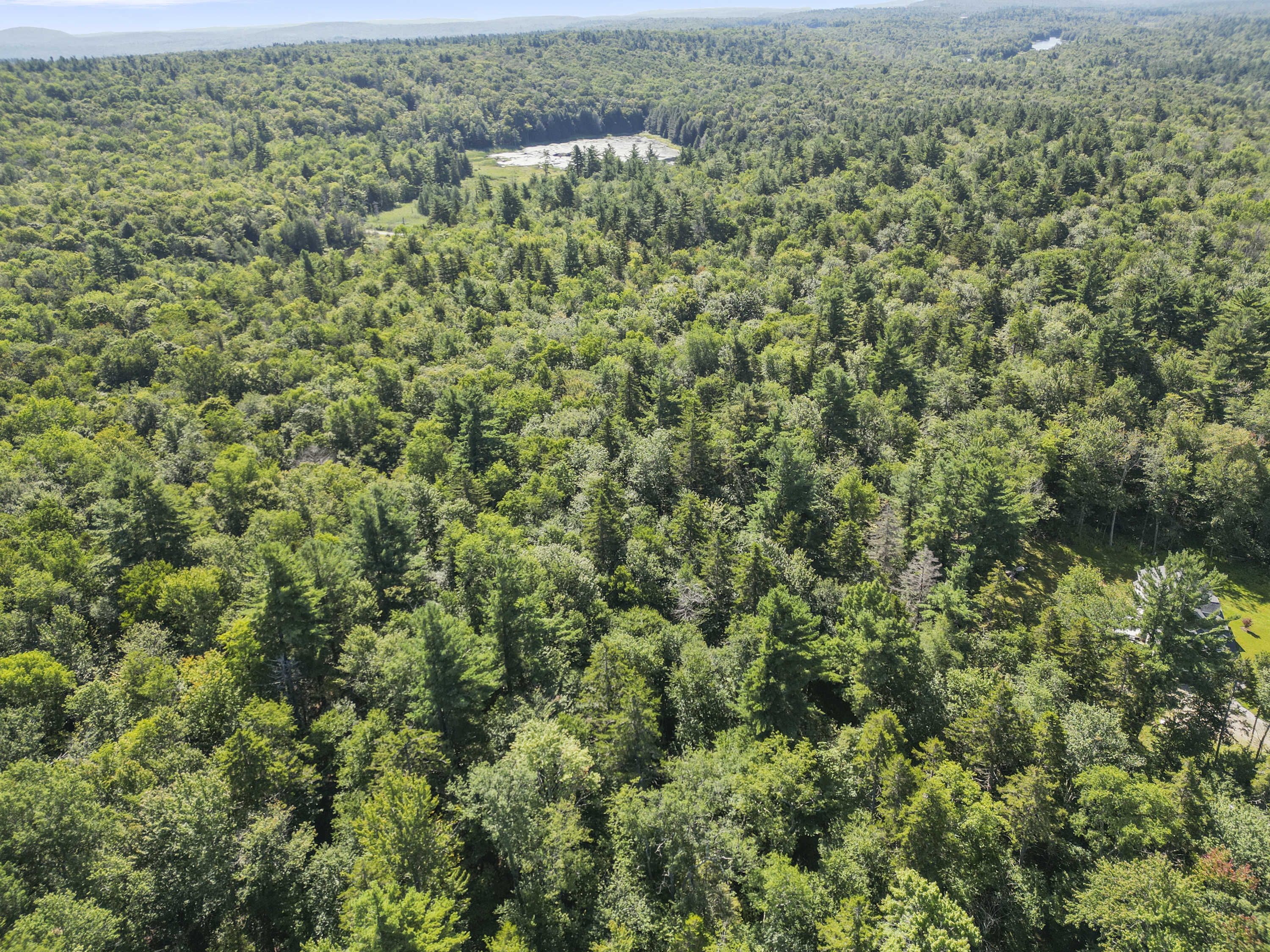  7.5 SERENE ACRES IN BECKET WOODS - 物件實景