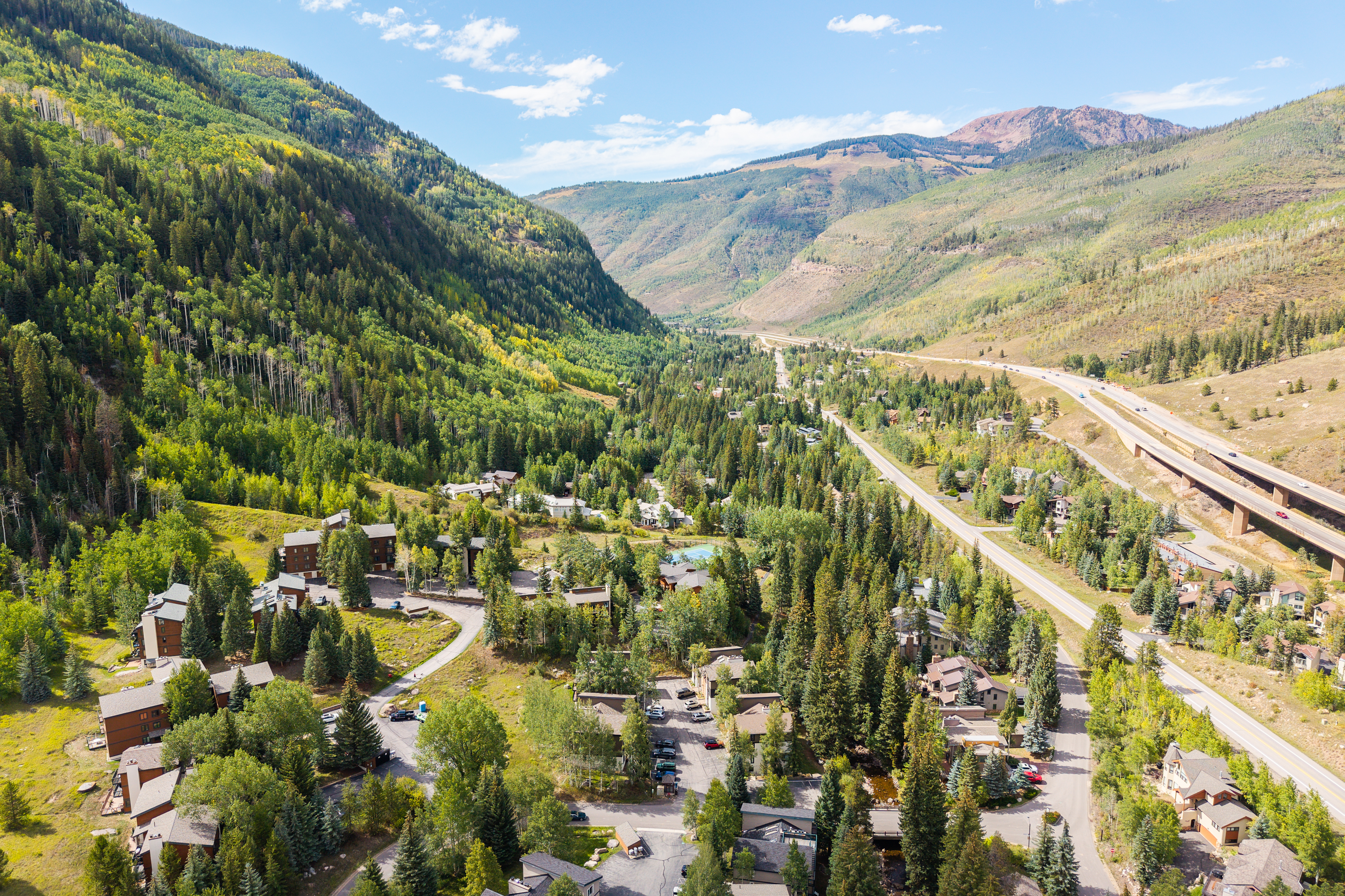  Surrounded by Mature Trees and Mountain Views - 物件實景