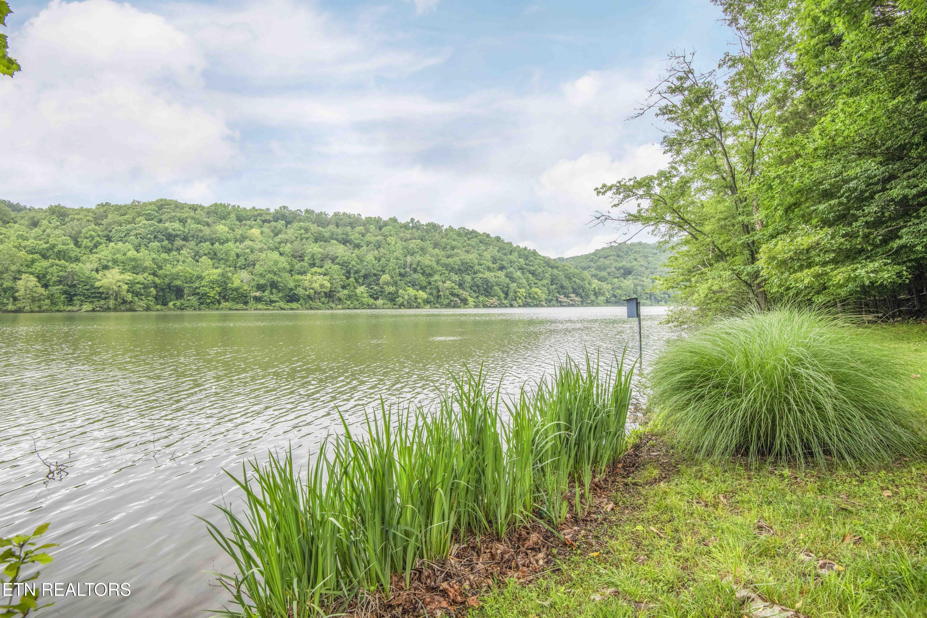 Kingston, Tennessee, 37763, United States, 3 Bedrooms Bedrooms, ,3 BathroomsBathrooms,Residential,For Sale,2013795