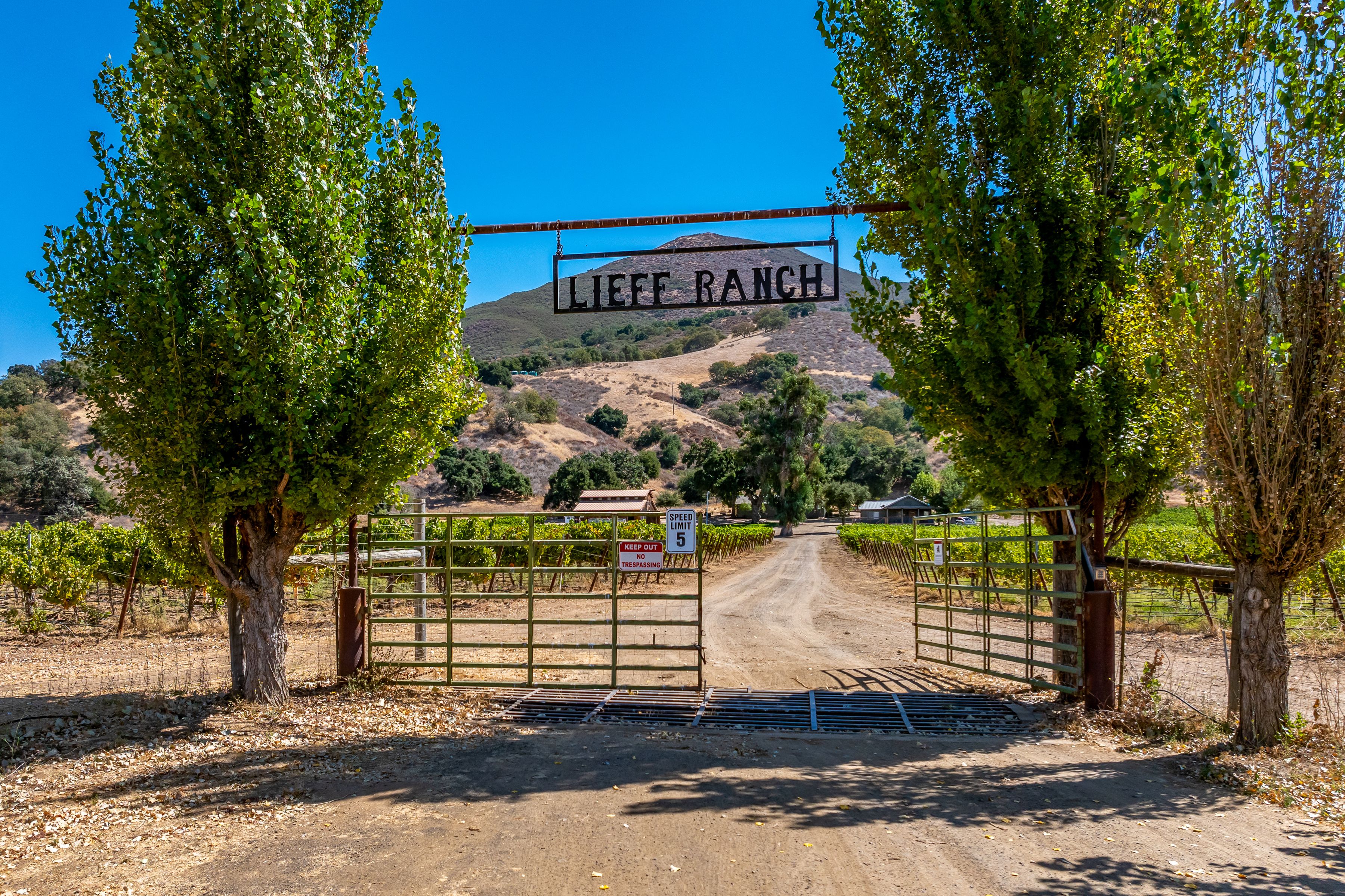  Extraordinary Vineyard Estate - 物件實景
