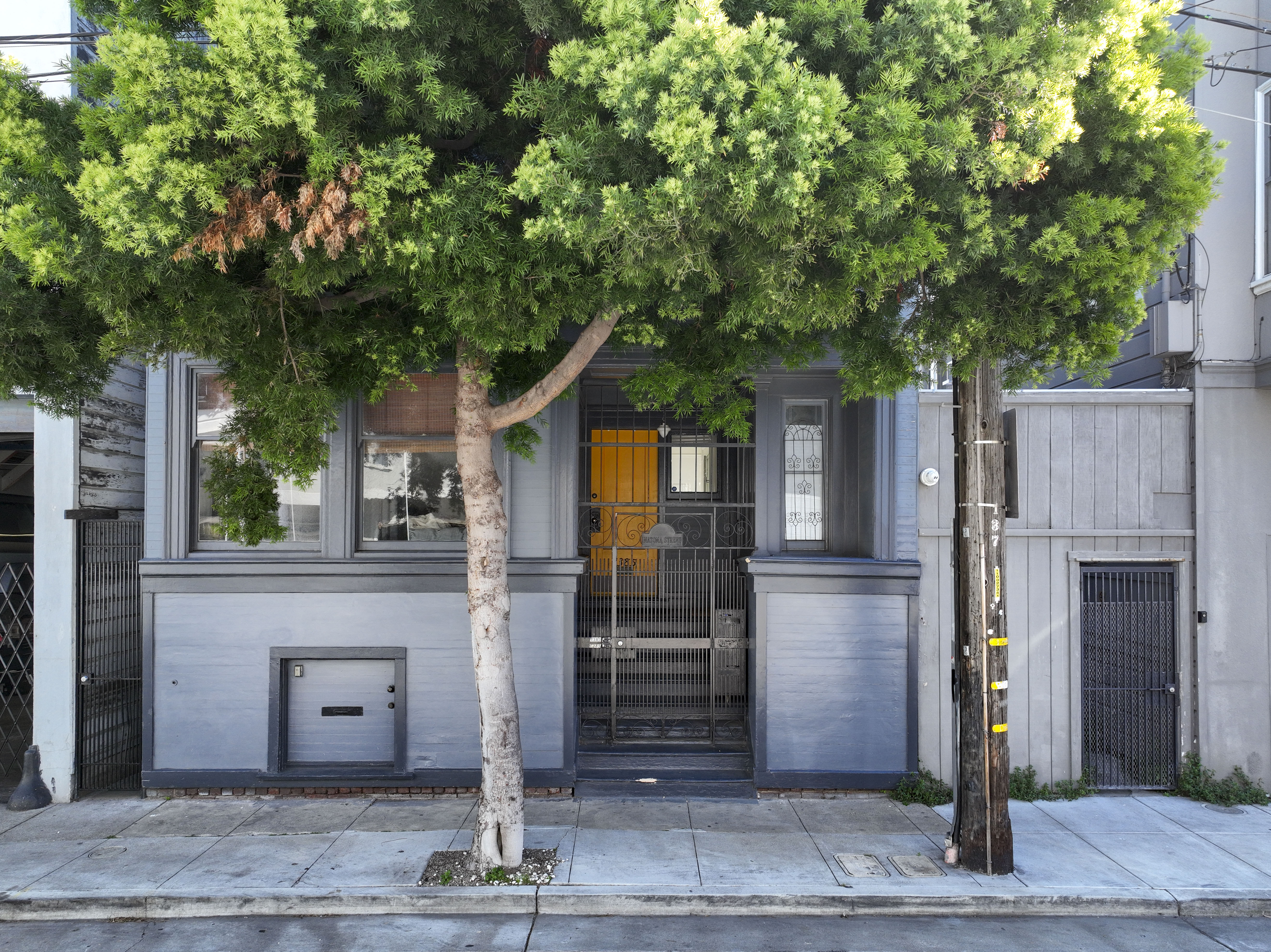  Period Charm Galore  Edwardian in the Mission - 物件實景