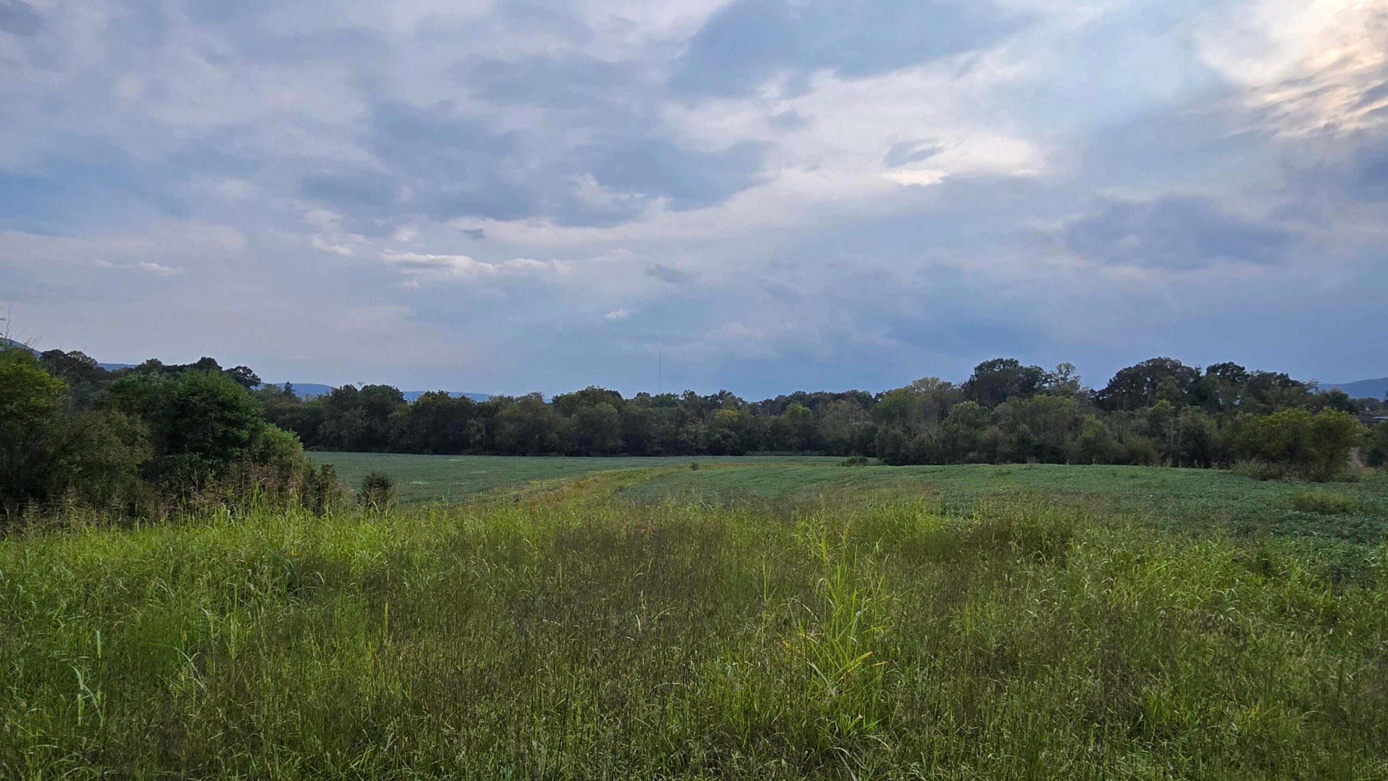 Pikeville, Tennessee, 37367, United States, ,Land,For Sale,1978902