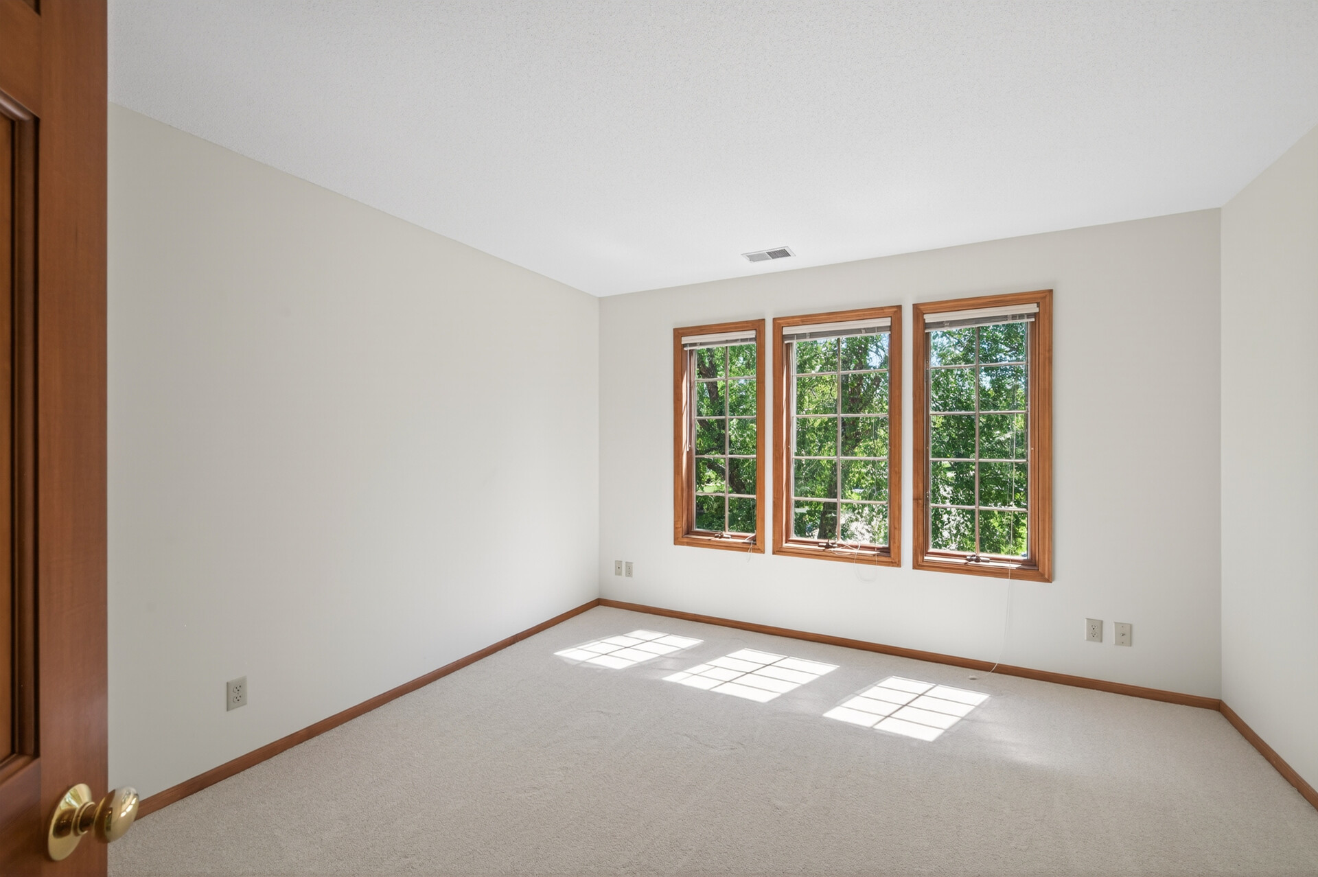  Luxury Lakeside Retreat in the Heart of Woodbury - 物件實景