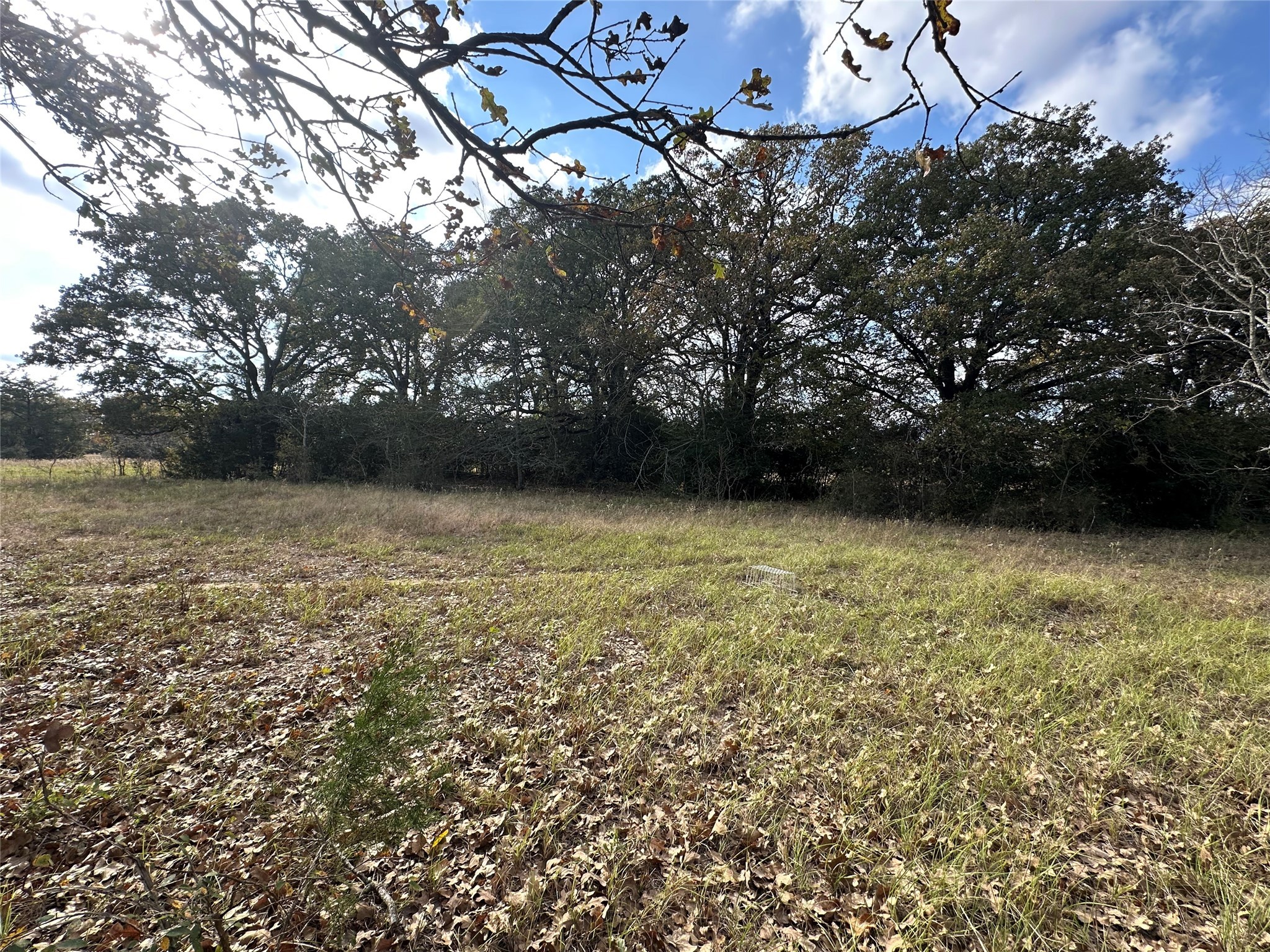 Thornton, Texas, 76687, United States, ,Land,For Sale,1995546