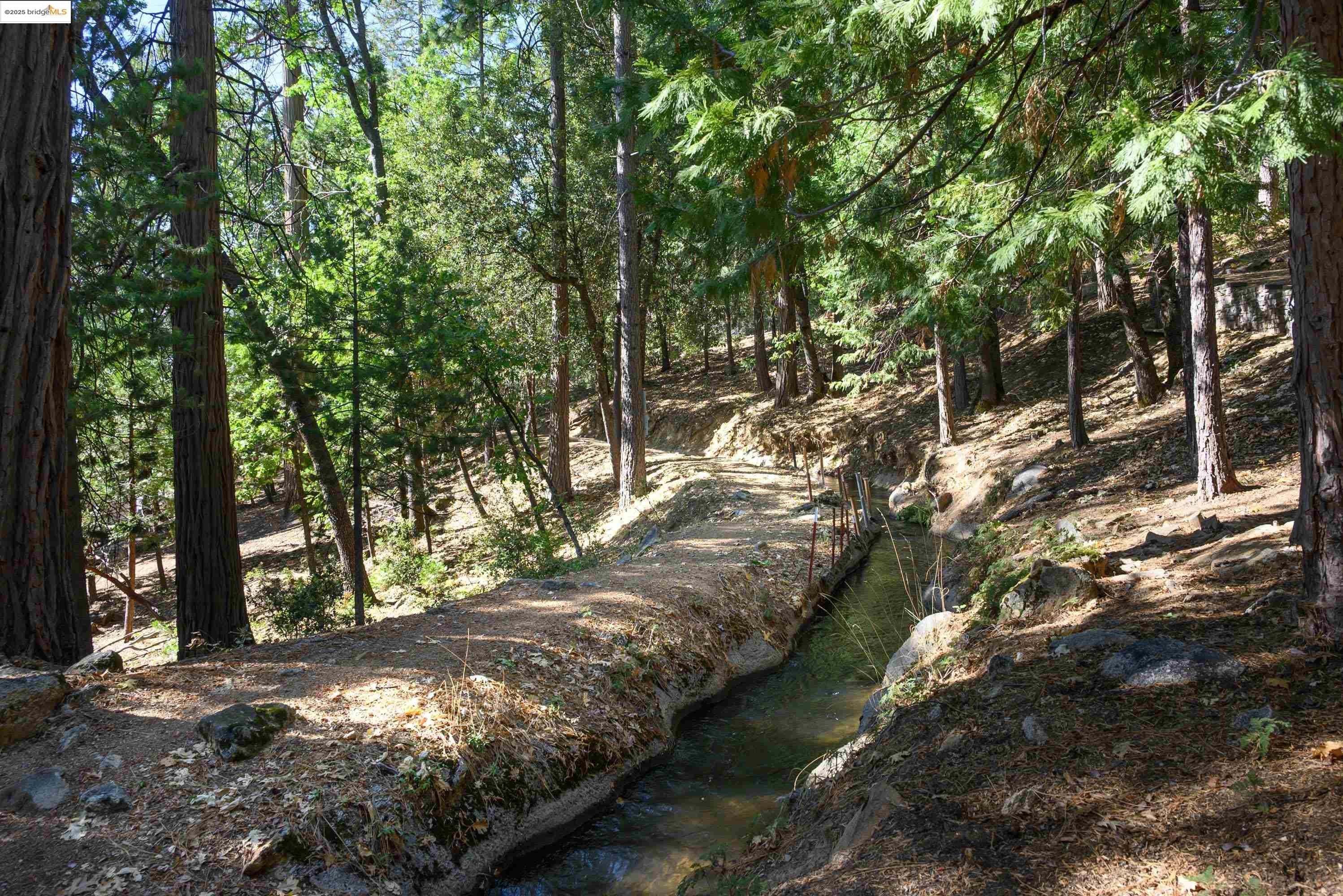 Twain Harte, California, 95383, United States, 4 Bedrooms Bedrooms, ,3 BathroomsBathrooms,Residential,For Sale,1979068