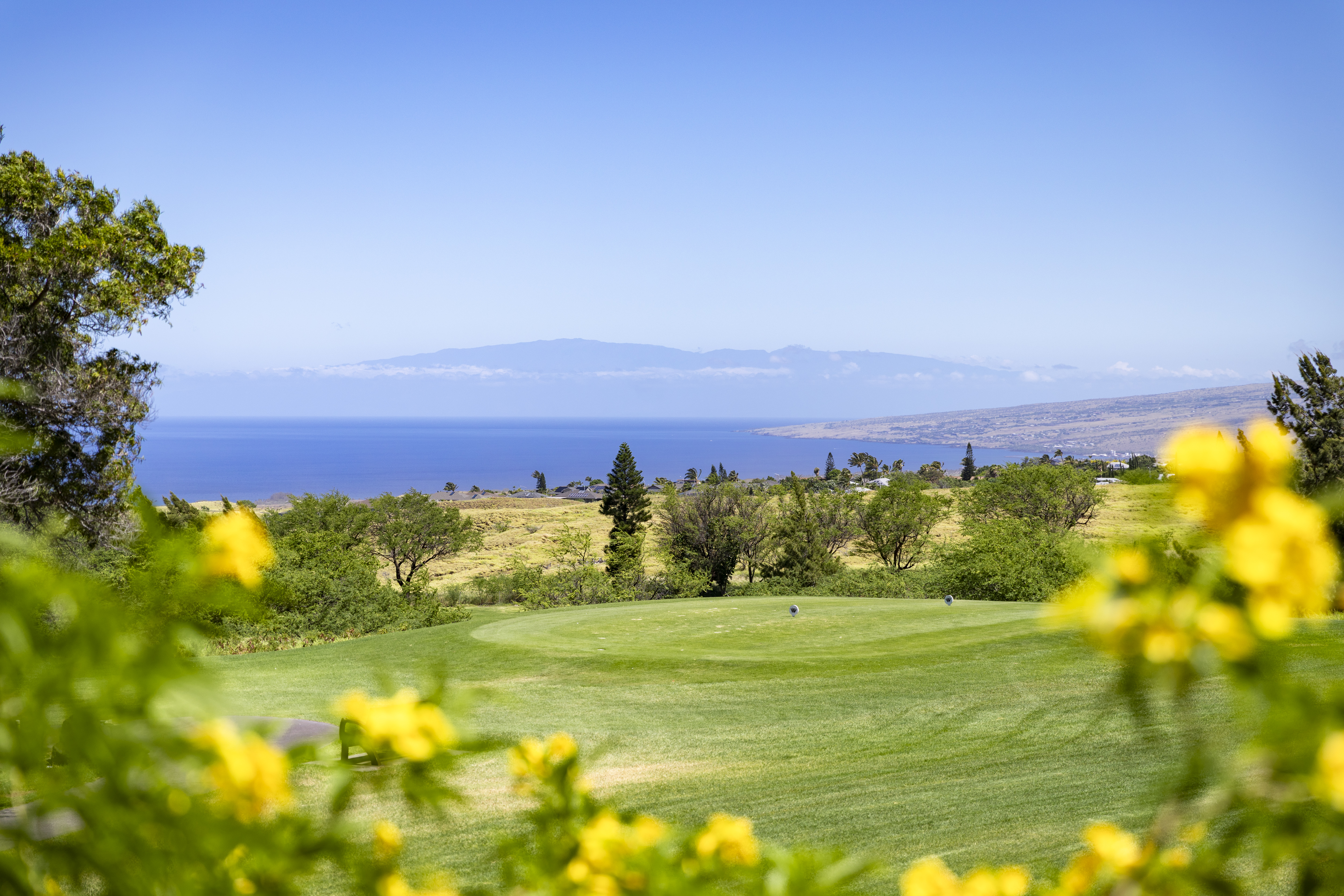  68-1767 Melia Street, D106 DL2, Waikoloa Village, HI 96738 - 物件實景