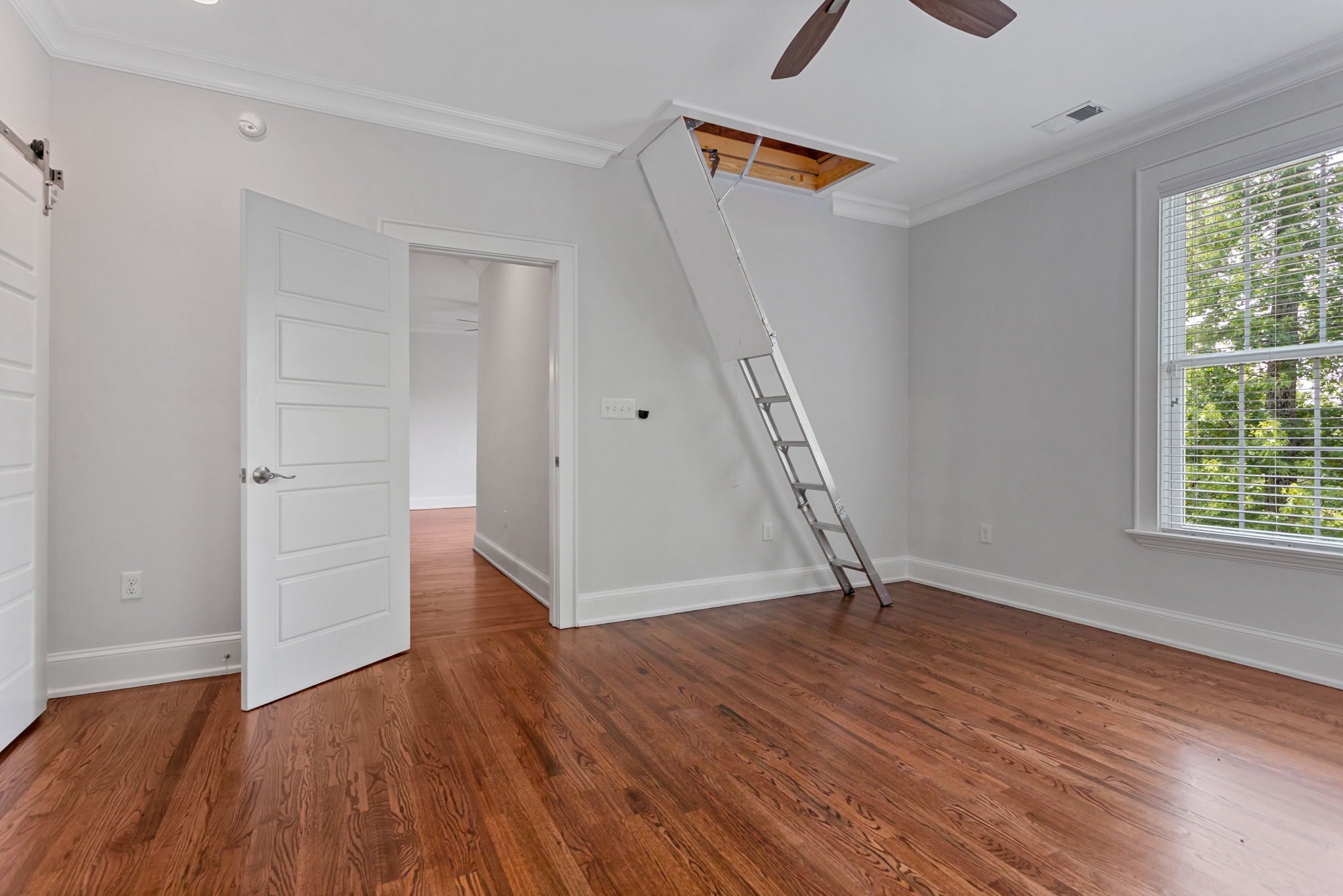 204 Crestwood Drive, Greenville, SC 29609 - 物件實景