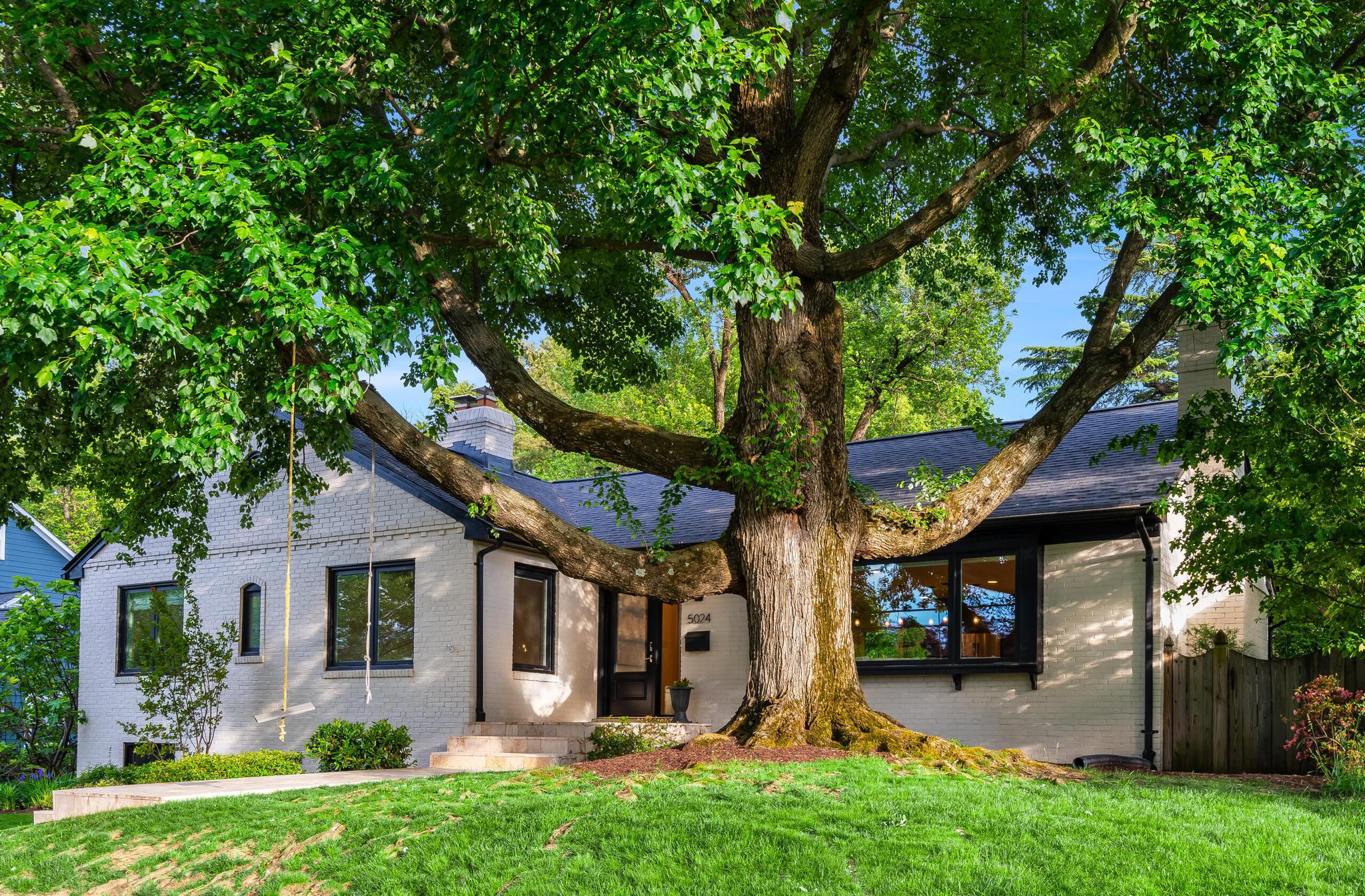  5024 Williamsburg Boulevard, Arlington, VA, 22207 - 物件實景