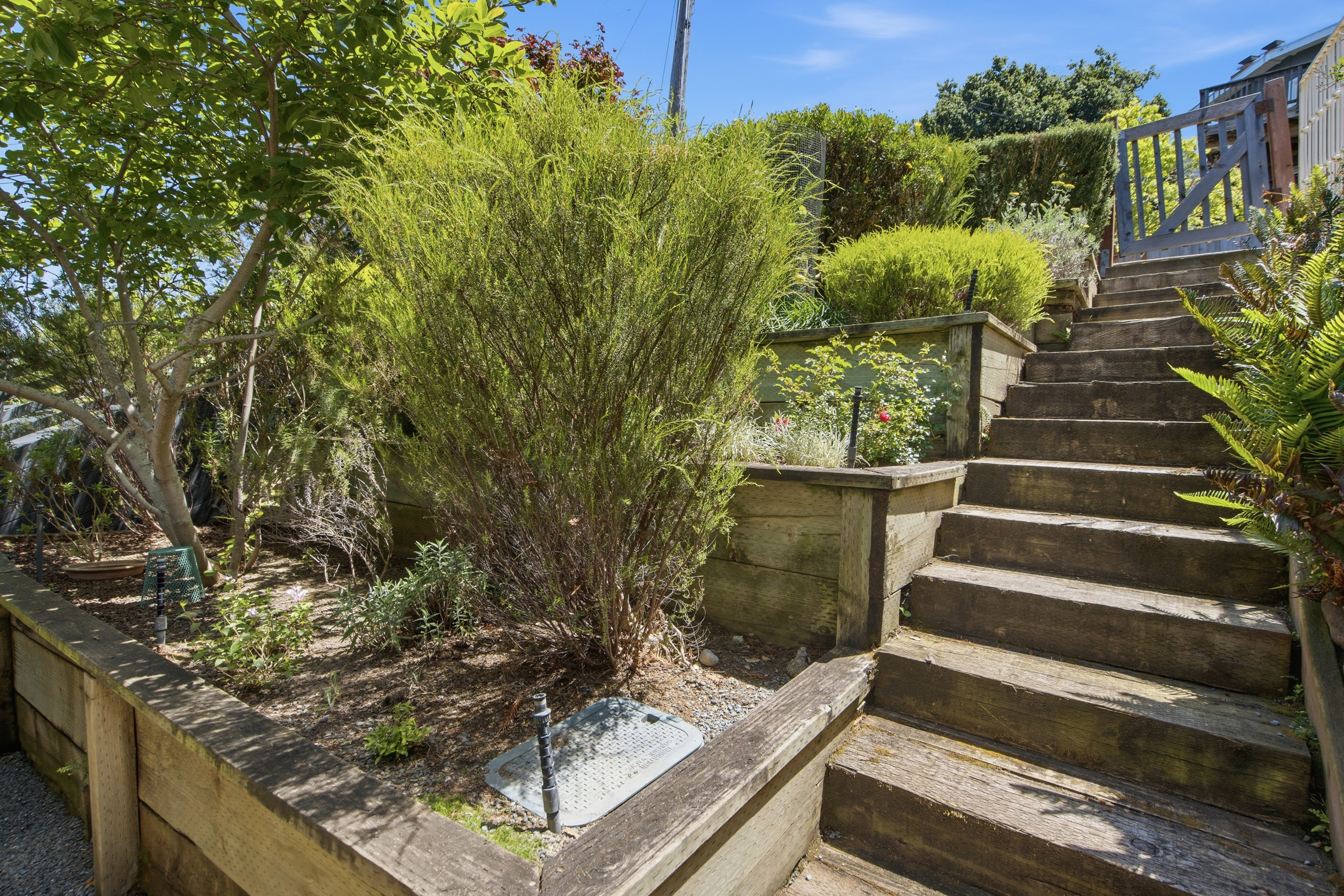 Prime Belmont Hills Home with Bay Views - 物件實景